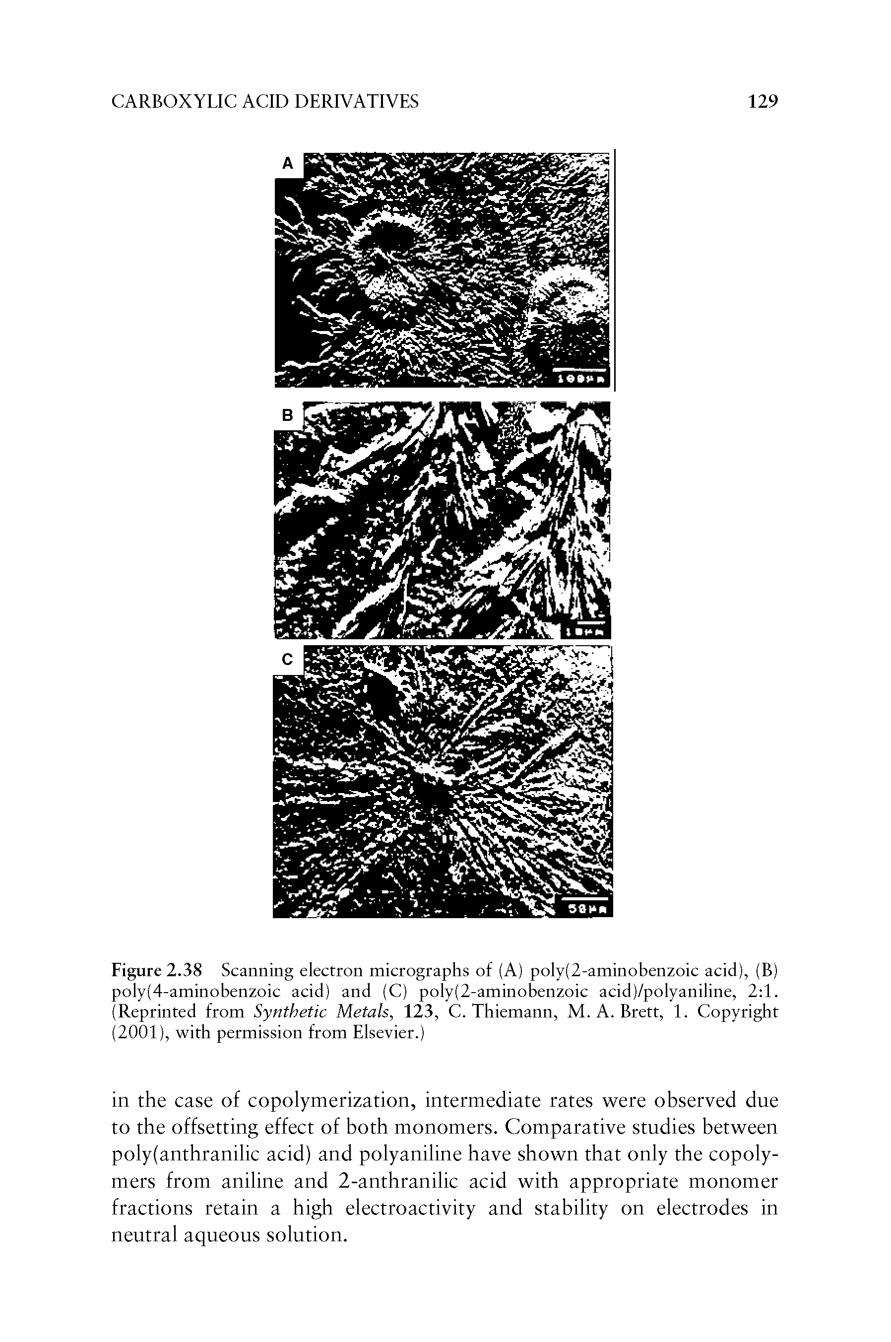 Figure 2.38 Scanning electron micrographs of (A) poly(2-aminobenzoic acid), (B) poly(4-aminobenzoic acid) and (C) poly(2-aminobenzoic acid)/polyaniline, 2 1. (Reprinted from Synthetic Metals, 123, C. Thiemann, M. A. Brett, 1. Copyright (2001), with permission from Elsevier.)...