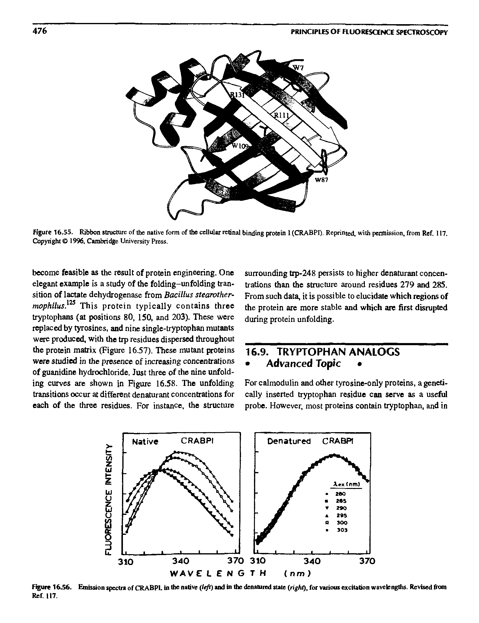 Figure 16.55. Ribbon structure of the native form of the cellular retinal binding protein l(CRABPI), Reprinted, with permission, from Ref. 117. Copyright 1996. Cambridge University Press.