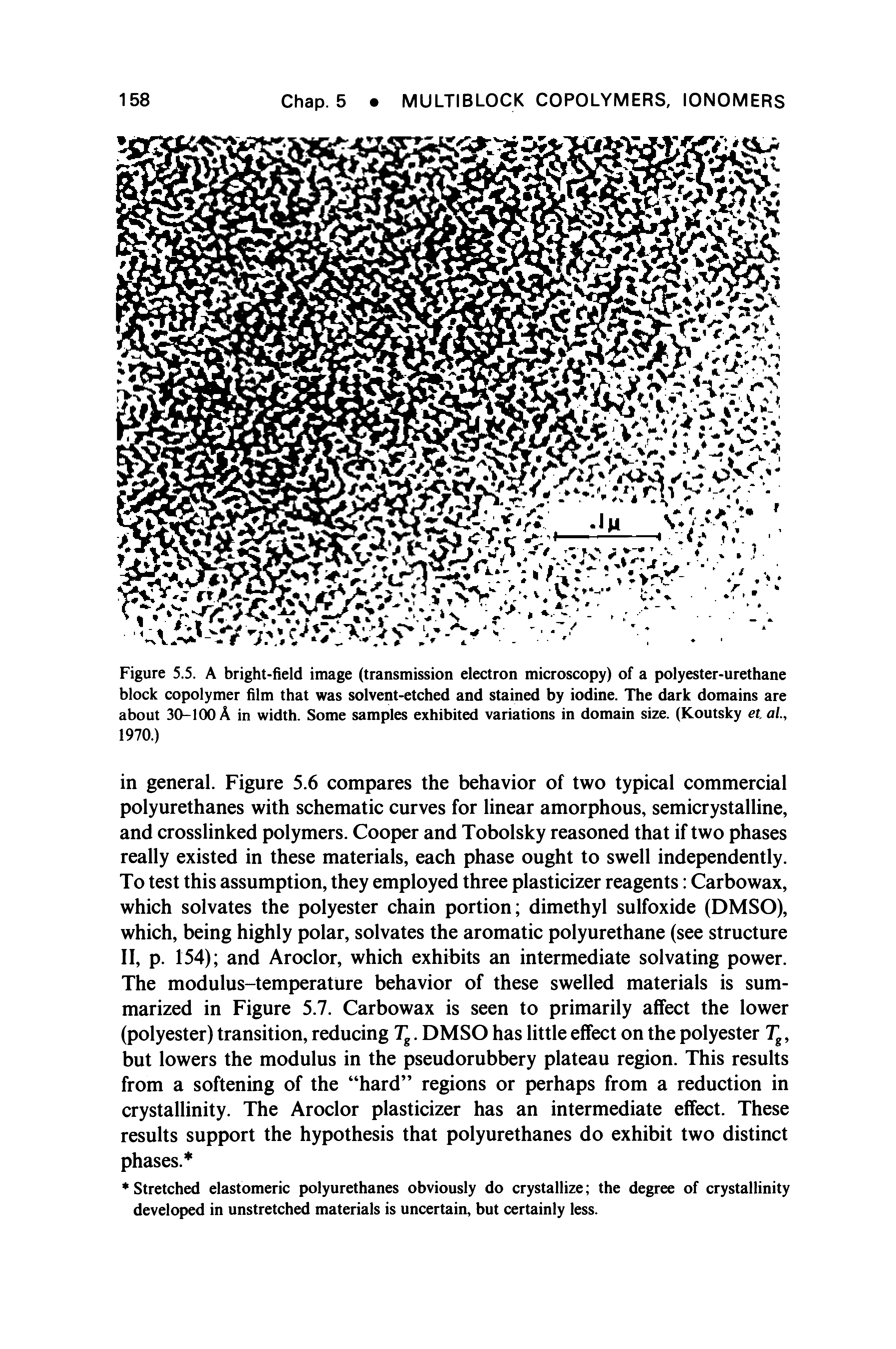 Figure 5.5. A bright-field image (transmission electron microscopy) of a polyester-urethane block copolymer film that was solvent-etched and stained by iodine. The dark domains are about 30-100 A in width. Some samples exhibited variations in domain size. (Koutsky et, al, 1970.)...