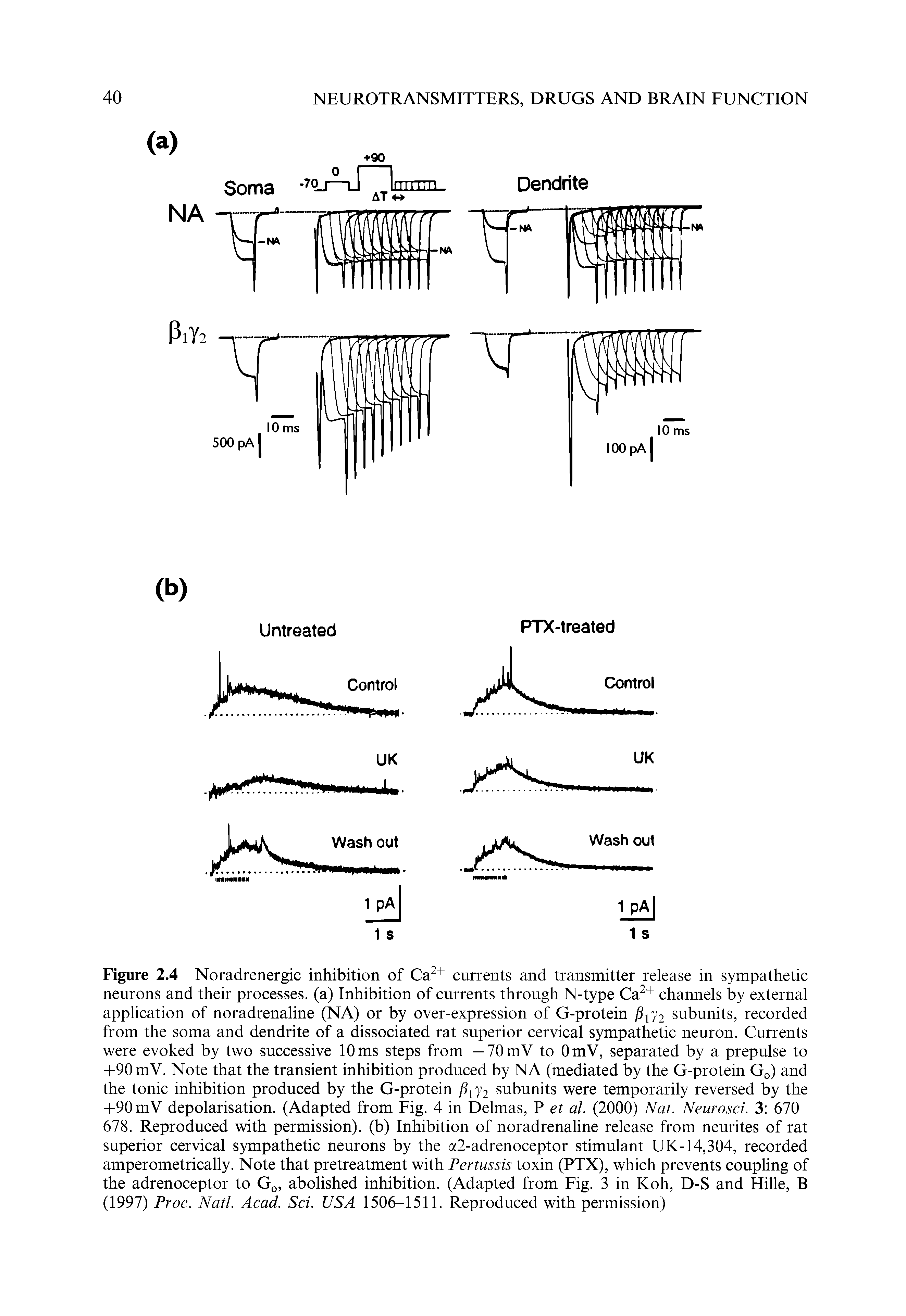 Figure 2.4 Noradrenergic inhibition of Ca " currents and transmitter release in sympathetic neurons and their processes, (a) Inhibition of currents through N-type Ca " channels by external application of noradrenaline (NA) or by over-expression of G-protein P y2 subunits, recorded from the soma and dendrite of a dissociated rat superior cervical sympathetic neuron. Currents were evoked by two successive 10 ms steps from —70 mV to OmV, separated by a prepulse to -1-90 mV. Note that the transient inhibition produced by NA (mediated by the G-protein Go) and the tonic inhibition produced by the G-protein Piy2 subunits were temporarily reversed by the -1-90 mV depolarisation. (Adapted from Fig. 4 in Delmas, P et al. (2000) Nat. Neurosci. 3 670-678. Reproduced with permission), (b) Inhibition of noradrenaline release from neurites of rat superior cervical sympathetic neurons by the 2-adrenoceptor stimulant UK-14,304, recorded amperometrically. Note that pretreatment with Pertussis toxin (PTX), which prevents coupling of the adrenoceptor to Gq, abolished inhibition. (Adapted from Fig. 3 in Koh, D-S and Hille, B (1997) Proc. Natl. Acad. Sci. USA 1506-1511. Reproduced with permission)...