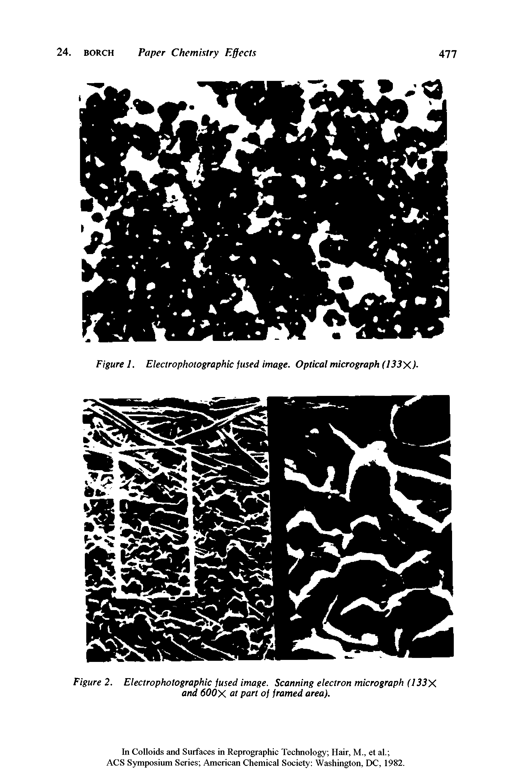 Figure 1. Electrophotographic fused image. Optical micrograph (133X)-...
