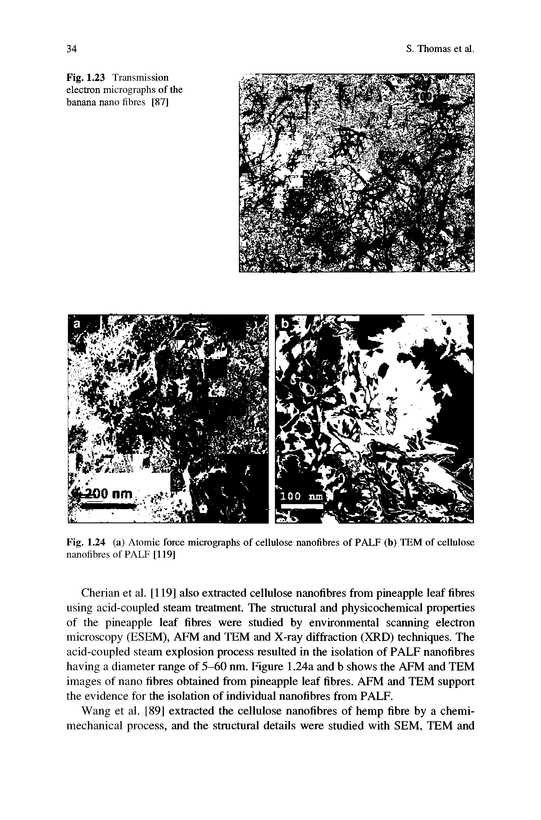 Fig. 1.23 Transmission electron micrographs of the banana nano fibres [87]...