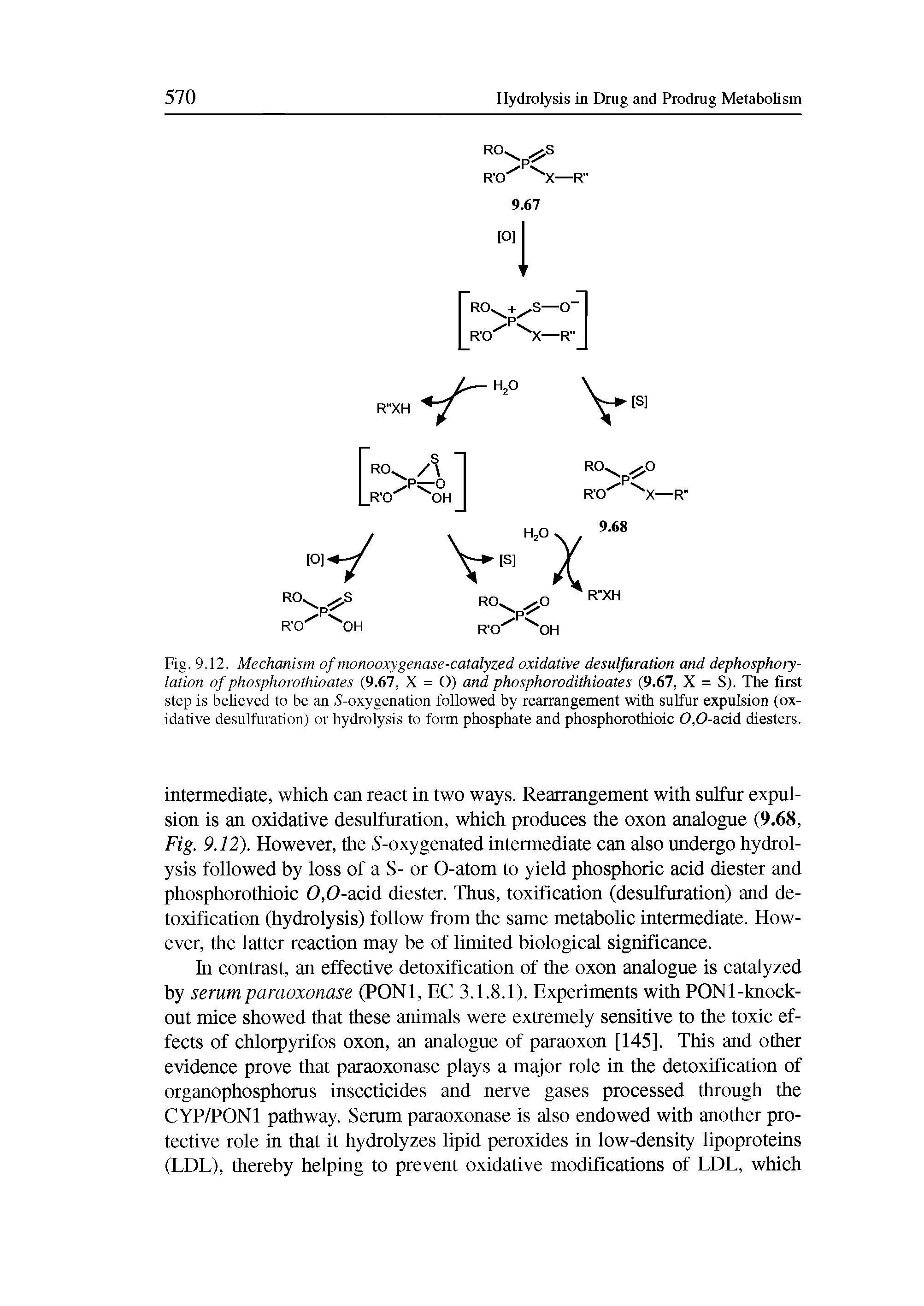 Fig. 9.12. Mechanism of monooxygenase-catalyzed oxidative desulfuration and dephosphorylation of phosphorothioates (9.67, X = O) and phosphorodithioates (9.67, X = S). The first step is believed to be an 5-oxygenation followed by rearrangement with sulfur expulsion (oxidative desulfuration) or hydrolysis to form phosphate and phosphorothioic 0,0-acid diesters.