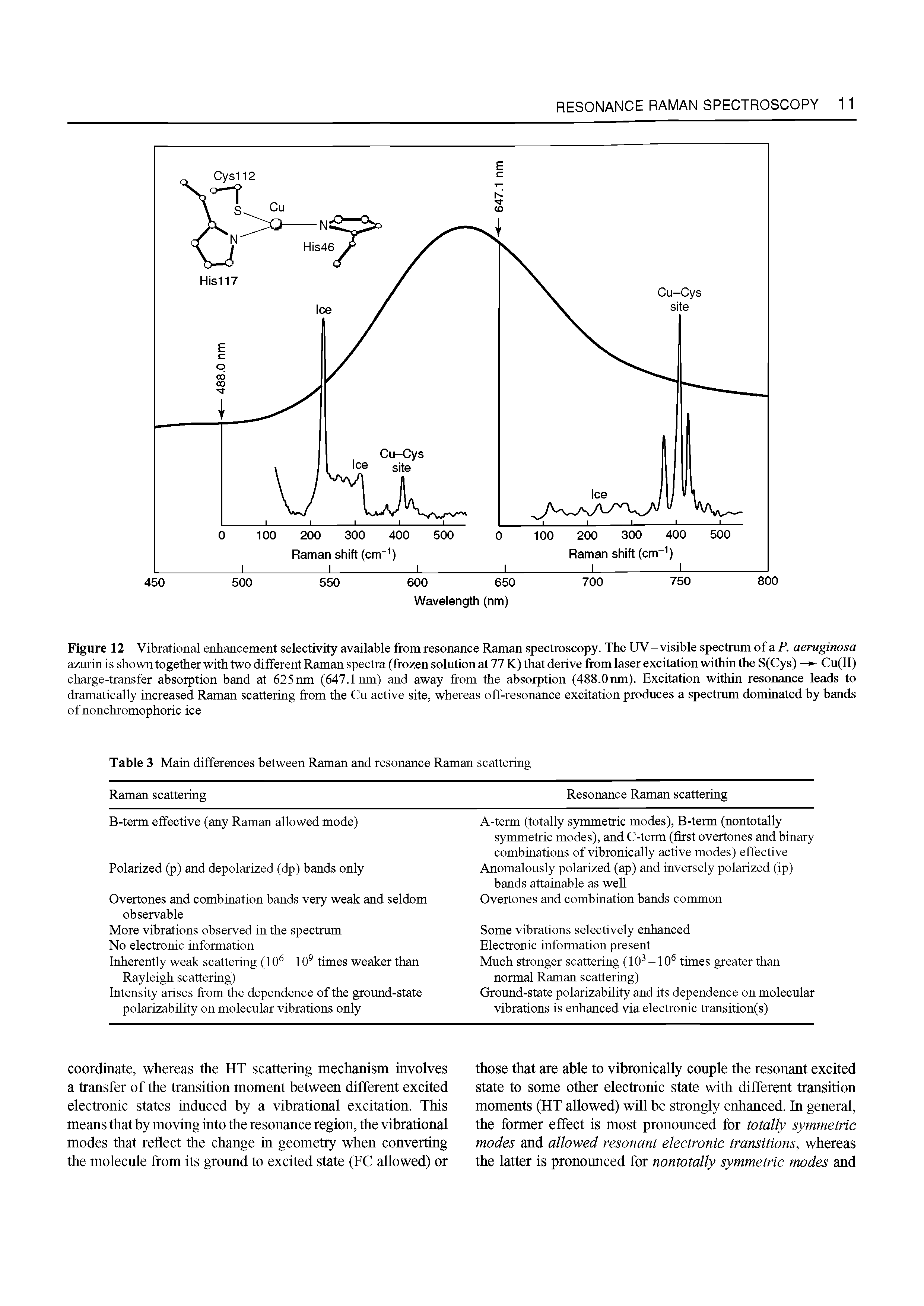 Figure 12 Vibrational enhancement selectivity available from resonance Raman spectroscopy. The UV-visible spectrum of a P. aeruginosa azurinis shown together with two different Raman spectra (frozen solution at 77 K) that derive from laser excitation within the S(Cys) — Cu(II) charge-transfer absorption band at 625run (647.1 nm) and away from the absorption (488.Onm). Excitation within resonance leads to dramatically increased Raman scattering from the Cu active site, whereas off-resonance excitation produces a spectrum dominated by bands of nonchromophoric ice...