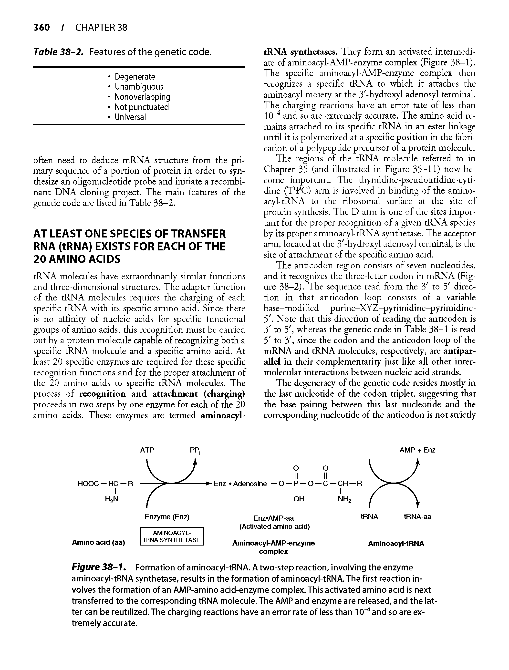 Figure 38-1. Formation of aminoacyl-tRNA. A two-step reaction, involving the enzyme aminoacyl-tRNA synthetase, results in the formation of aminoacyl-tRNA. The first reaction involves the formation of an AMP-amino acid-enzyme complex. This activated amino acid is next transferred to the corresponding tRNA molecule. The AMP and enzyme are released, and the latter can be reutilized. The charging reactions have an error rate of less than 10" and so are extremely accurate.