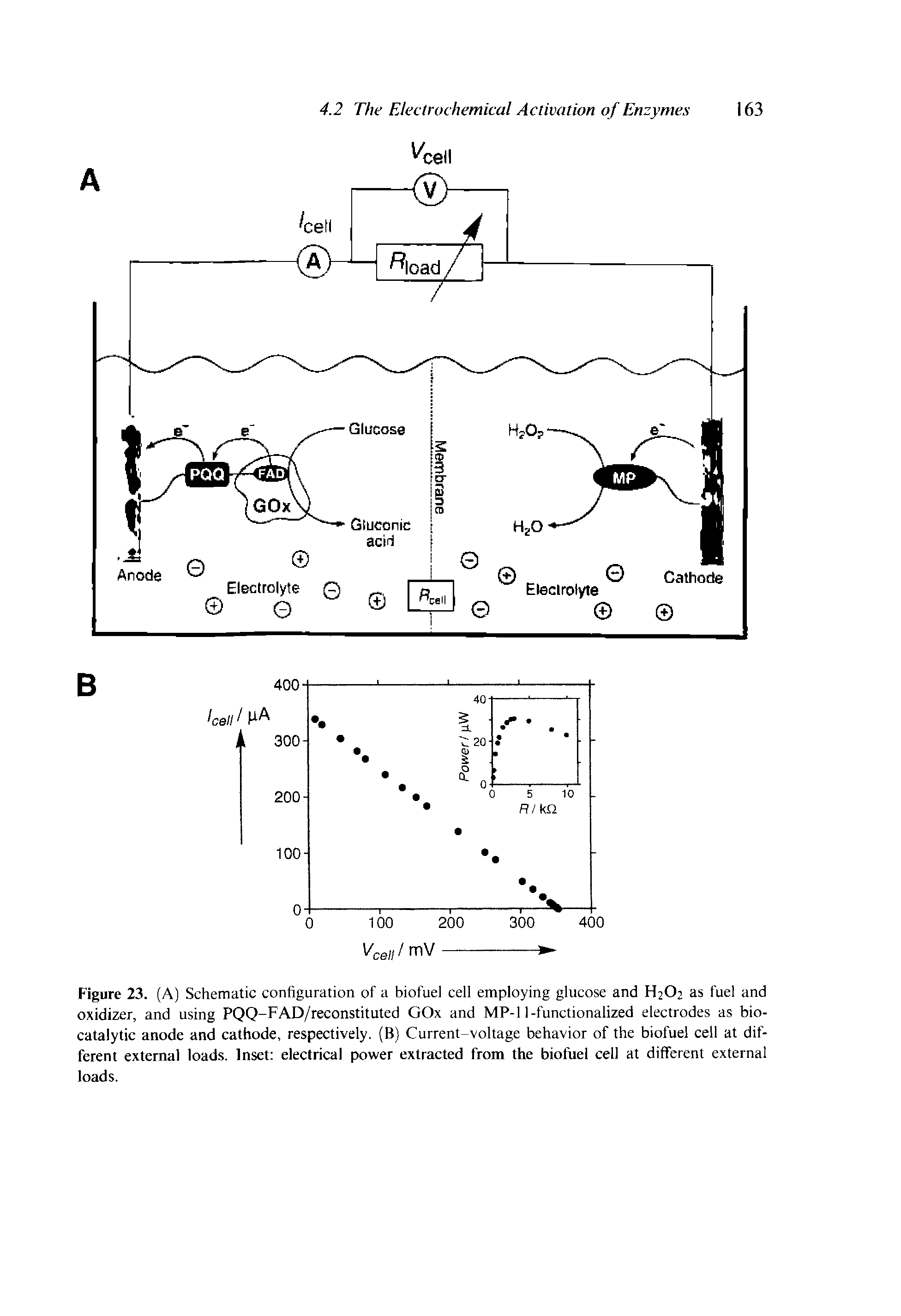 Figure 23. (A) Schematic configuration of a biofuel cell employing glucose and H2O2 as fuel and oxidizer, and using PQQ-FAD/reconstituted GOx and MP-11-functionalized electrodes as bio-catalytic anode and cathode, respectively. (B) Current-voltage behavior of the biofuel cell at different external loads. Inset electrical power extracted from the biofuel cell at different external loads.