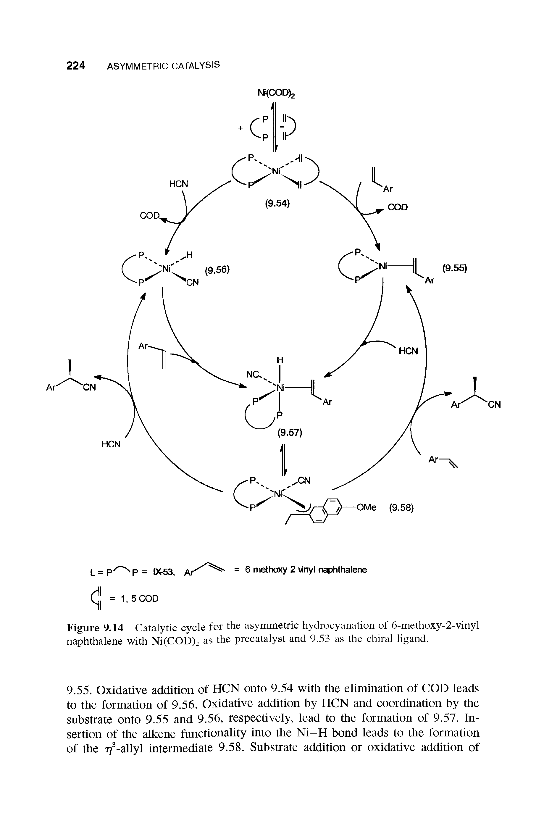 Figure 9.14 Catalytic cycle for the asymmetric hydrocyanation of 6-methoxy-2-vinyl naphthalene with Ni(COD)2 as the precatalyst and 9.53 as the chiral ligand.