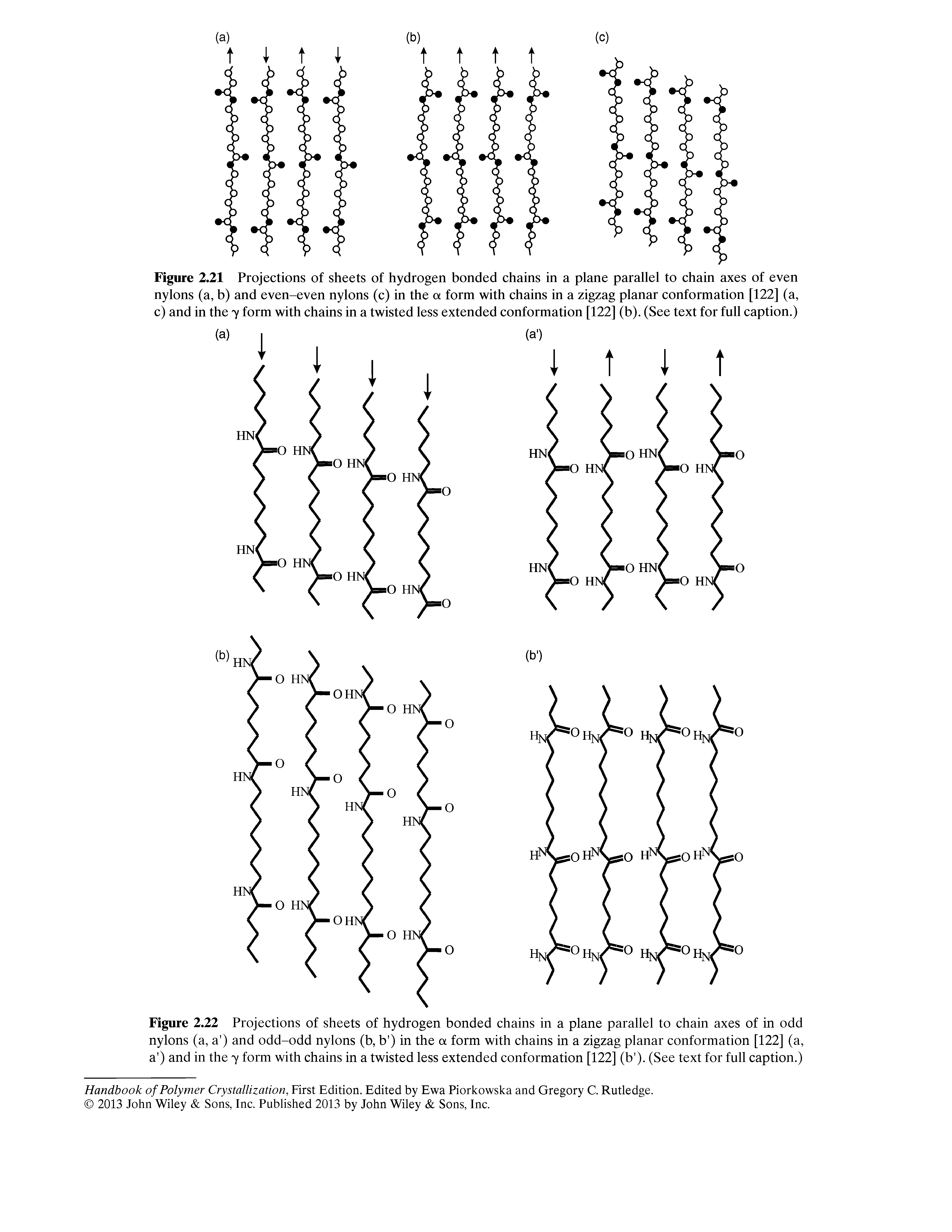 Figure 2.21 Projections of sheets of hydrogen bonded chains in a plane parallel to chain axes of even nylons (a, b) and even-even nylons (c) in the ot form with chains in a zigzag planar conformation [122] (a, c) and in the 7 form with chains in a twisted less extended conformation [122] (b). (See text for full caption.)...