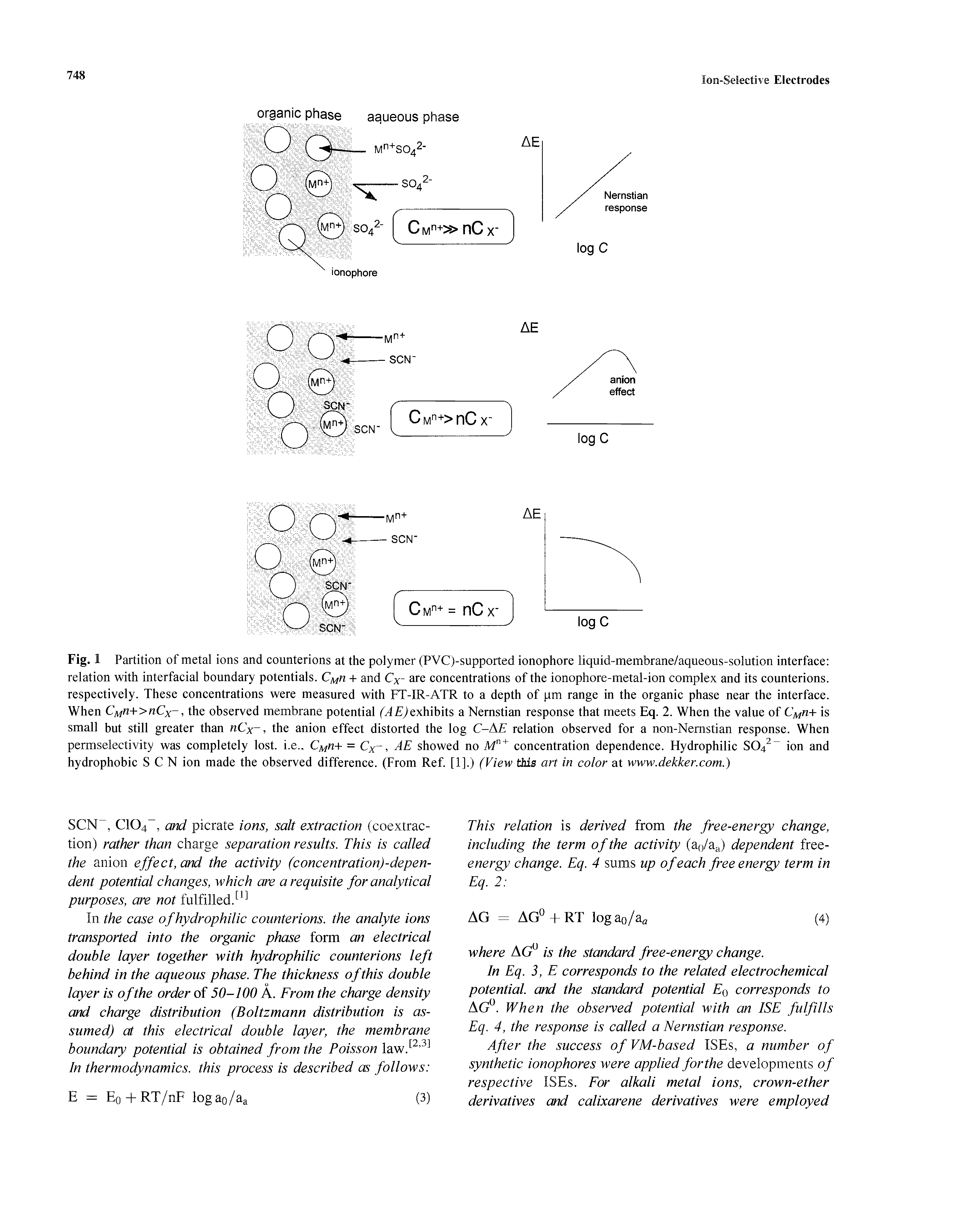 Fig. 1 Partition of metal ions and counterions at the polymer (PVC)-supported ionophore liquid-membrane/aqueous-solution interface relation with interfacial boundary potentials. C rz + and Cx- are concentrations of the ionophore-metal-ion complex and its counterions, respectively. These concentrations were measured with FT-IR-ATR to a depth of pm range in the organic phase near the interface. When CMn+>nCx, the observed membrane potential f exhibits a Nernstian response that meets Eq. 2. When the value of 11+ is small but still greater than nCx, the anion effect distorted the log C-AE relation observed for a non-Nemstian response. When...