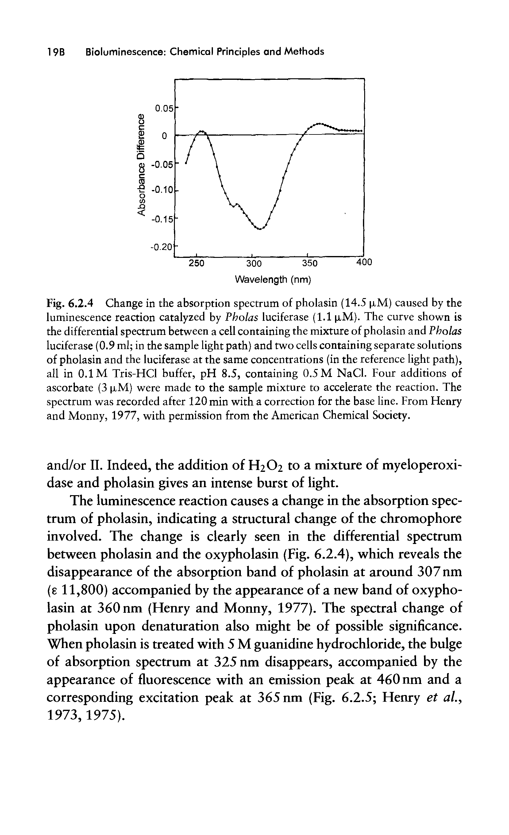 Fig. 6.2.4 Change in the absorption spectrum of pholasin (14.5 p,M) caused by the luminescence reaction catalyzed by Pholas luciferase (1.1 p.M). The curve shown is the differential spectrum between a cell containing the mixture of pholasin and Pholas luciferase (0.9 ml in the sample light path) and two cells containing separate solutions of pholasin and the luciferase at the same concentrations (in the reference light path), all in 0.1 M Tris-HCl buffer, pH 8.5, containing 0.5 M NaCl. Four additions of ascorbate (3 iM) were made to the sample mixture to accelerate the reaction. The spectrum was recorded after 120 min with a correction for the base line. From Henry and Monny, 1977, with permission from the American Chemical Society.