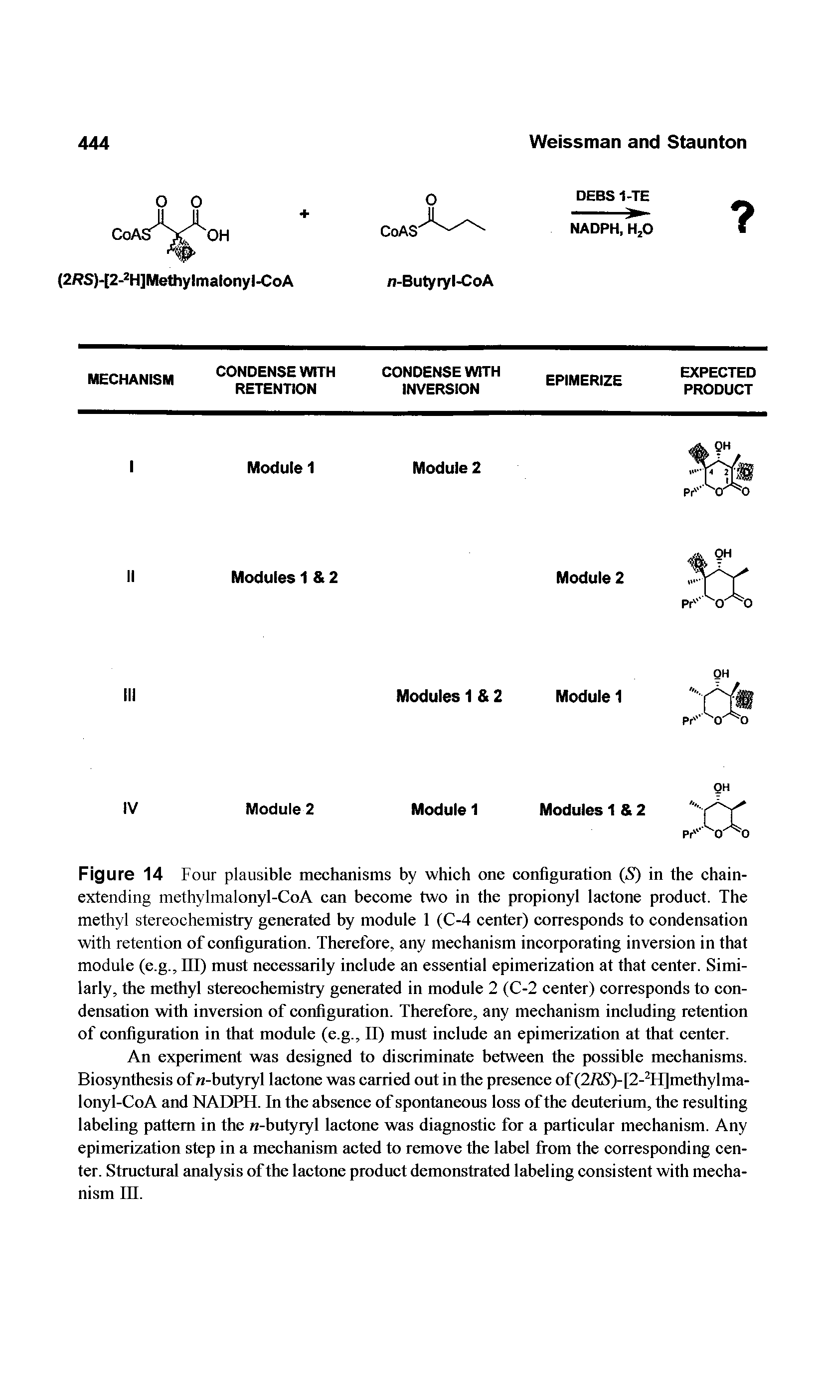 Figure 14 Four plausible mechanisms by which one configuration (S) in the chainextending methylmalonyl-CoA can become two in the propionyl lactone product. The methyl stereochemistry generated by module 1 (C-4 center) corresponds to condensation with retention of configuration. Therefore, any mechanism incorporating inversion in that module (e.g., Ill) must necessarily include an essential epimerization at that center. Similarly, the methyl stereochemistry generated in module 2 (C-2 center) corresponds to condensation with inversion of configuration. Therefore, any mechanism including retention of configuration in that module (e.g., II) must include an epimerization at that center.