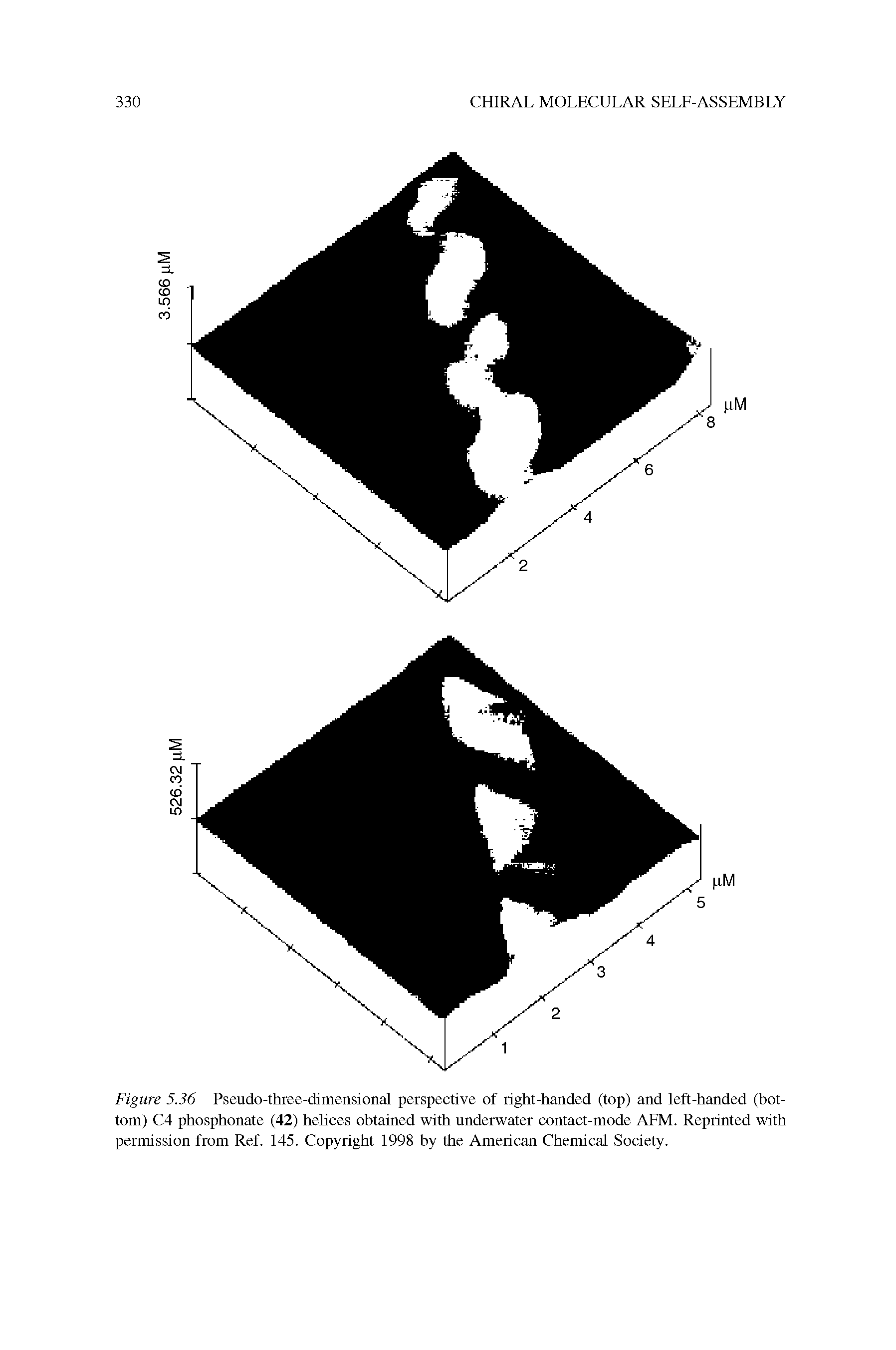 Figure 5.36 Pseudo-three-dimensional perspective of right-handed (top) and left-handed (bottom) C4 phosphonate (42) helices obtained with underwater contact-mode AFM. Reprinted with permission from Ref. 145. Copyright 1998 by the American Chemical Society.