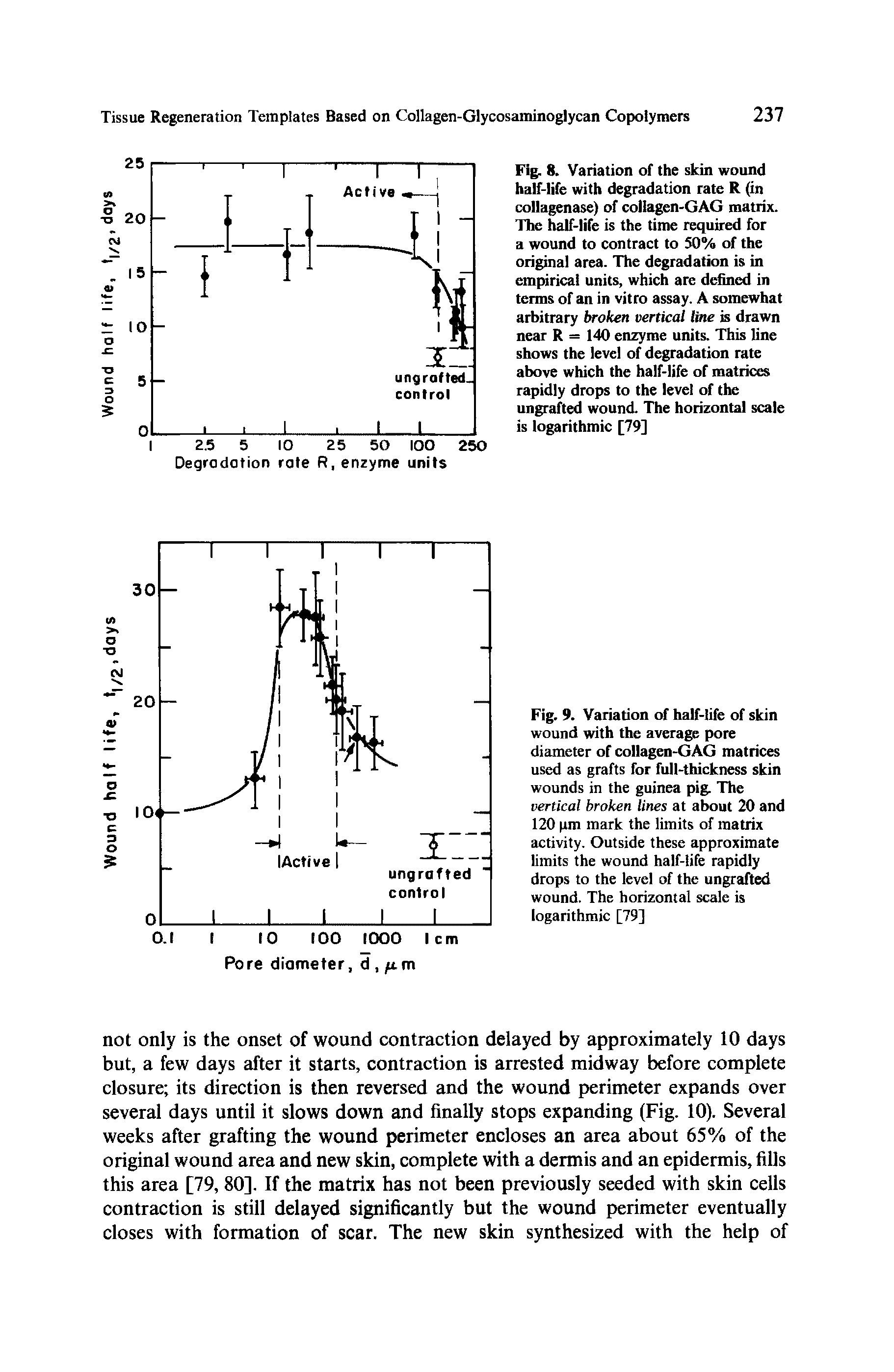 Fig. 8. Variation of the skin wound half-life with degradation rate R (in collagenase) of collagen-GAG matrix. The half-life is the time required for a wound to contract to 50% of the original area. The degradation is in empirical units, which are defined in terms of an in vitro assay. A somewhat arbitrary broken vertical line is drawn near R = 140 enzyme units. This line shows the level of degradation rate above which the half-life of matrices rapidly drops to the level of the ungrafted wound. The horizontal scale is logarithmic [79]...