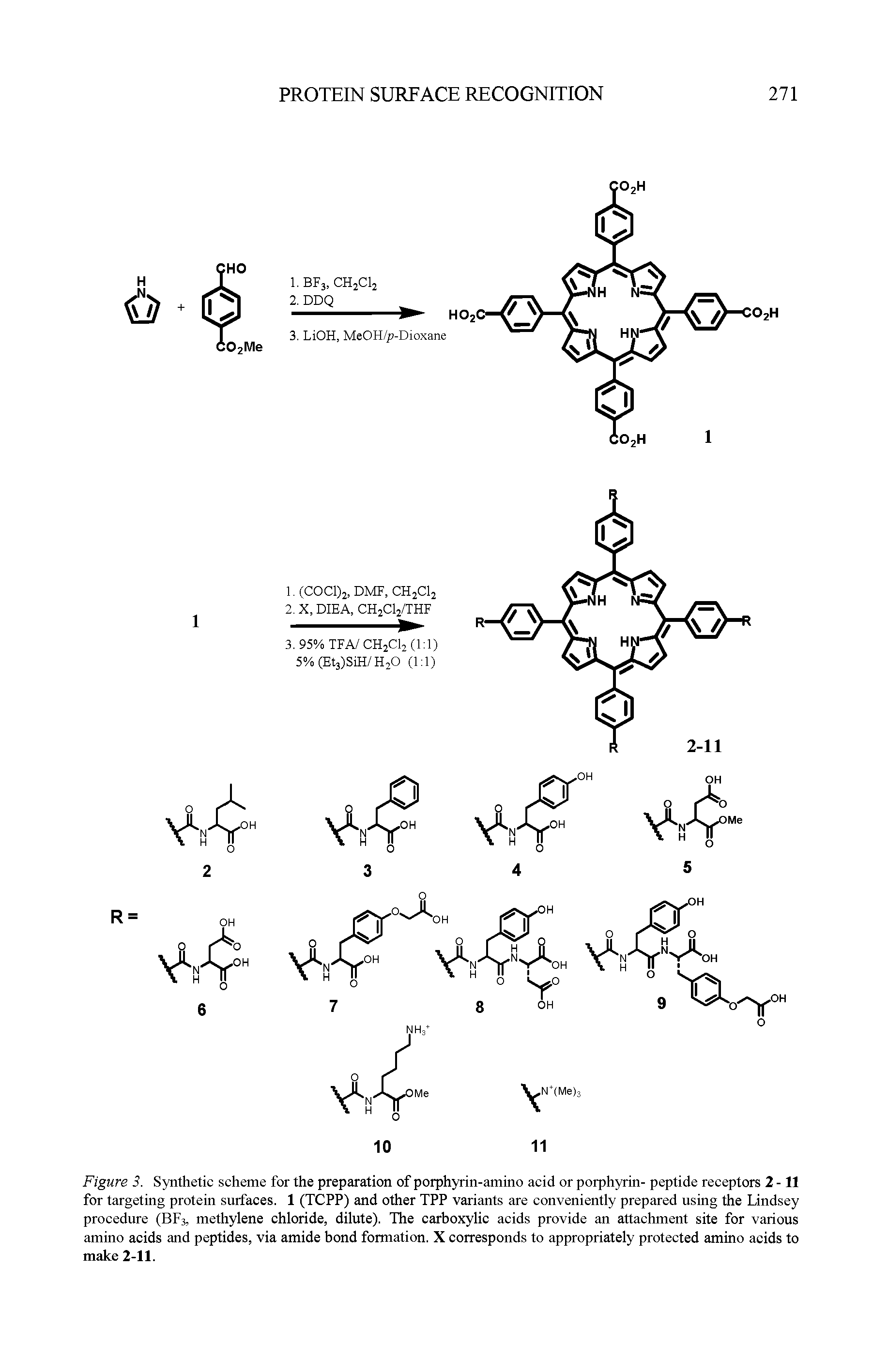 Figure 3. Synthetic scheme for the preparation of porphyrin-amino acid or porphyrin- peptide receptors 2-11 for targeting protein surfaces. 1 (TCPP) and other TPP variants are conveniently prepared using the Lindsey procedure (BF3, methylene chloride, dilute). The carboxylic acids provide an attachment site for various amino acids and peptides, via amide bond formation. X corresponds to appropriately protected amino acids to make 2-11.