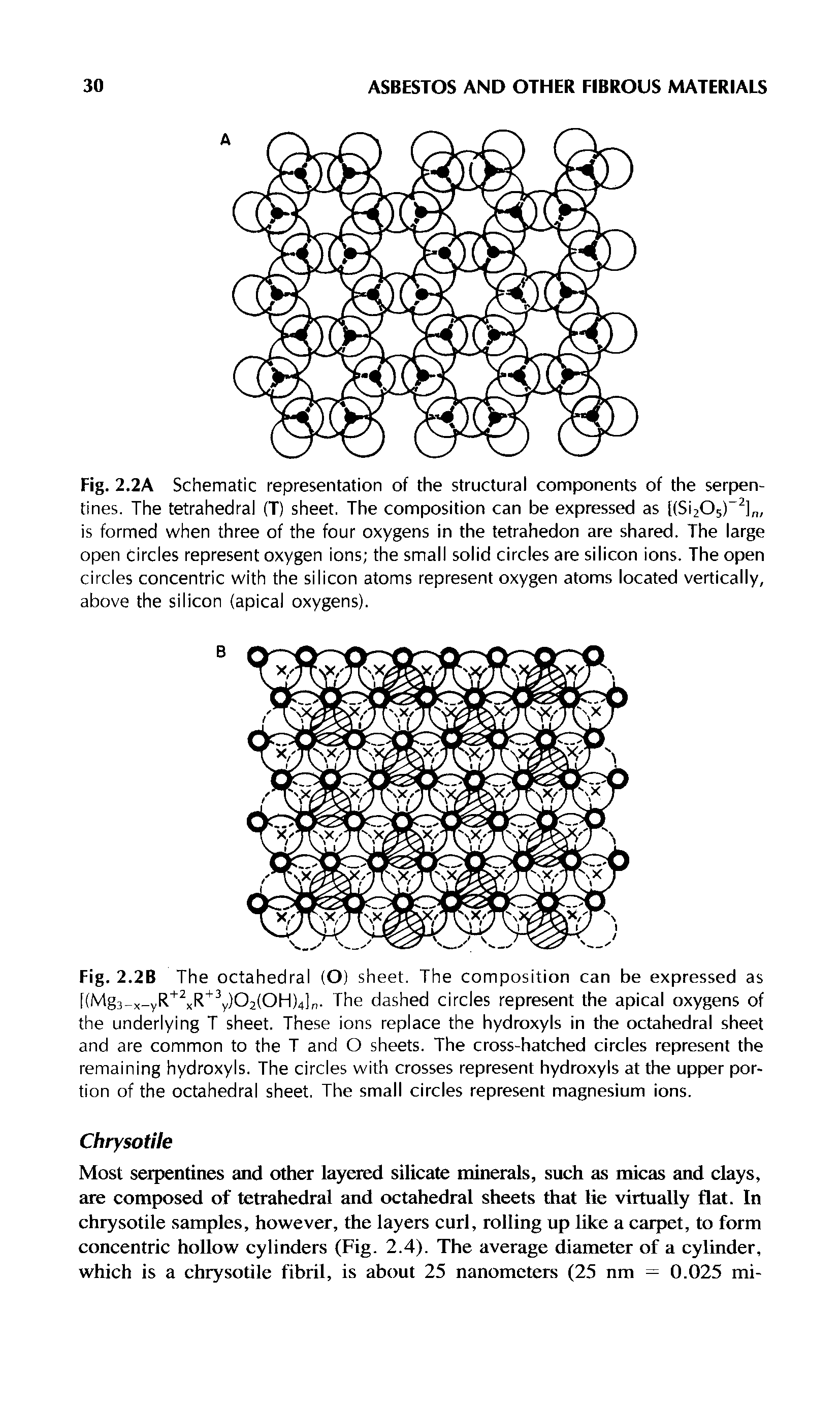 Fig. 2.2A Schematic representation of the structural components of the serpentines. The tetrahedral (T) sheet. The composition can be expressed as [(Si205) ] , is formed when three of the four oxygens in the tetrahedon are shared. The large open Circles represent oxygen ions the small solid circles are silicon ions. The open circles concentric with the silicon atoms represent oxygen atoms located vertically, above the silicon (apical oxygens).