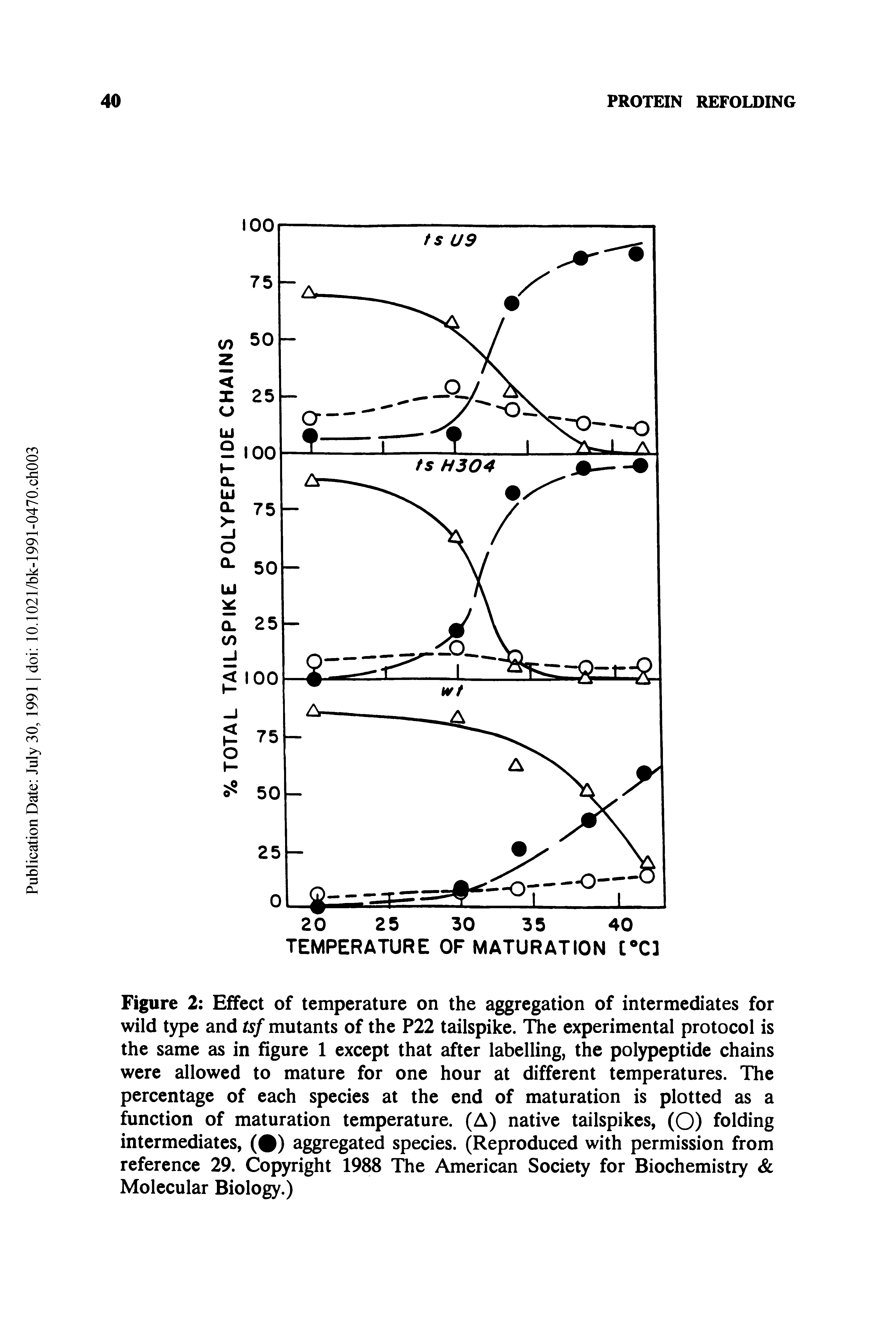 Figure 2 Effect of temperature on the aggregation of intermediates for wild type and tsf mutants of the P22 tailspike. The experimental protocol is the same as in figure 1 except that after labelling, the polypeptide chains were allowed to mature for one hour at different temperatures. The percentage of each species at the end of maturation is plotted as a function of maturation temperature. (A) native tailspikes, (O) folding intermediates, ( ) aggregated species. (Reproduced with permission from reference 29. Copyright 1988 The American Society for Biochemistry Molecular Biology.)...