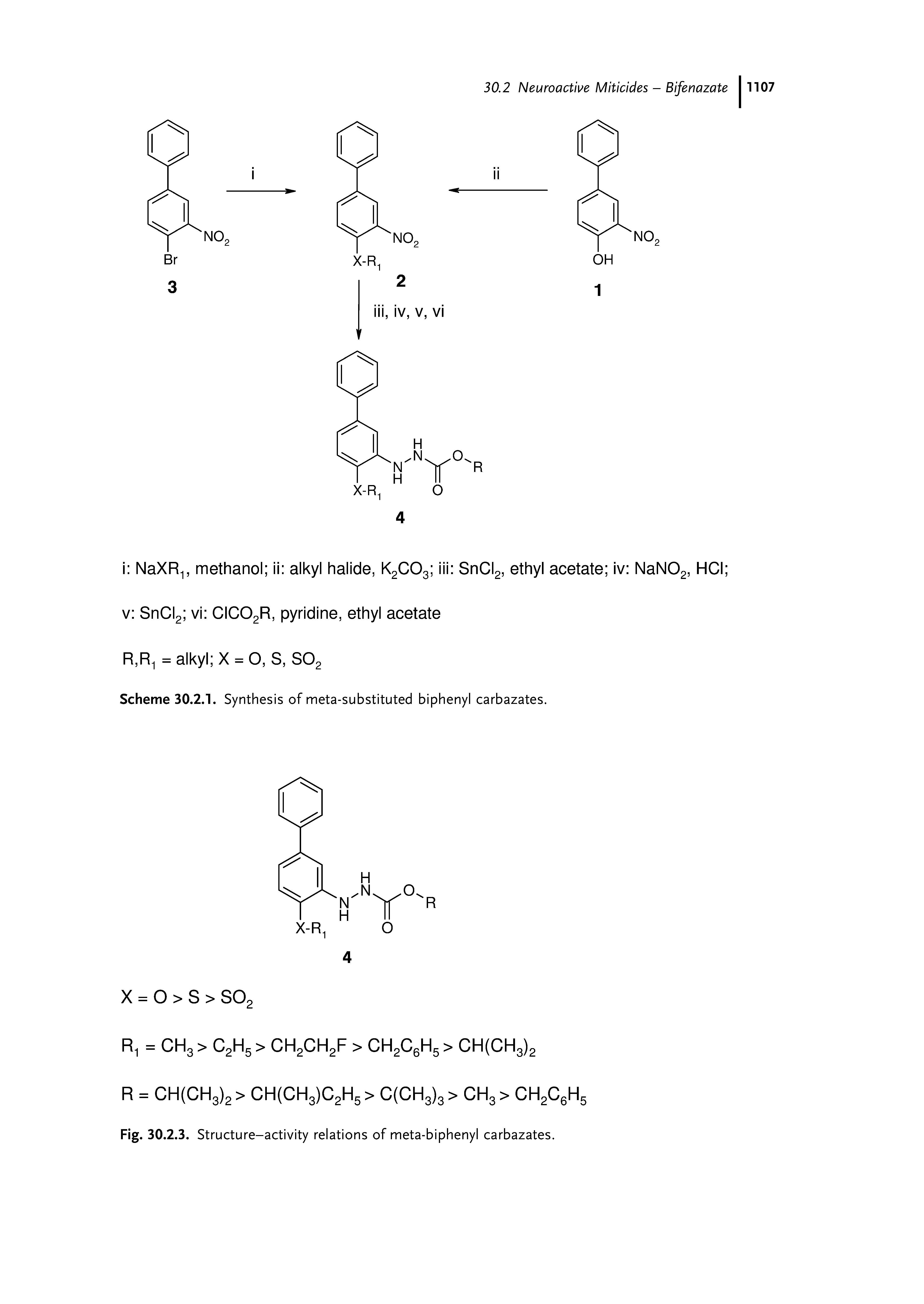 Scheme 30.2.1. Synthesis of meta-substituted biphenyl carbazates.