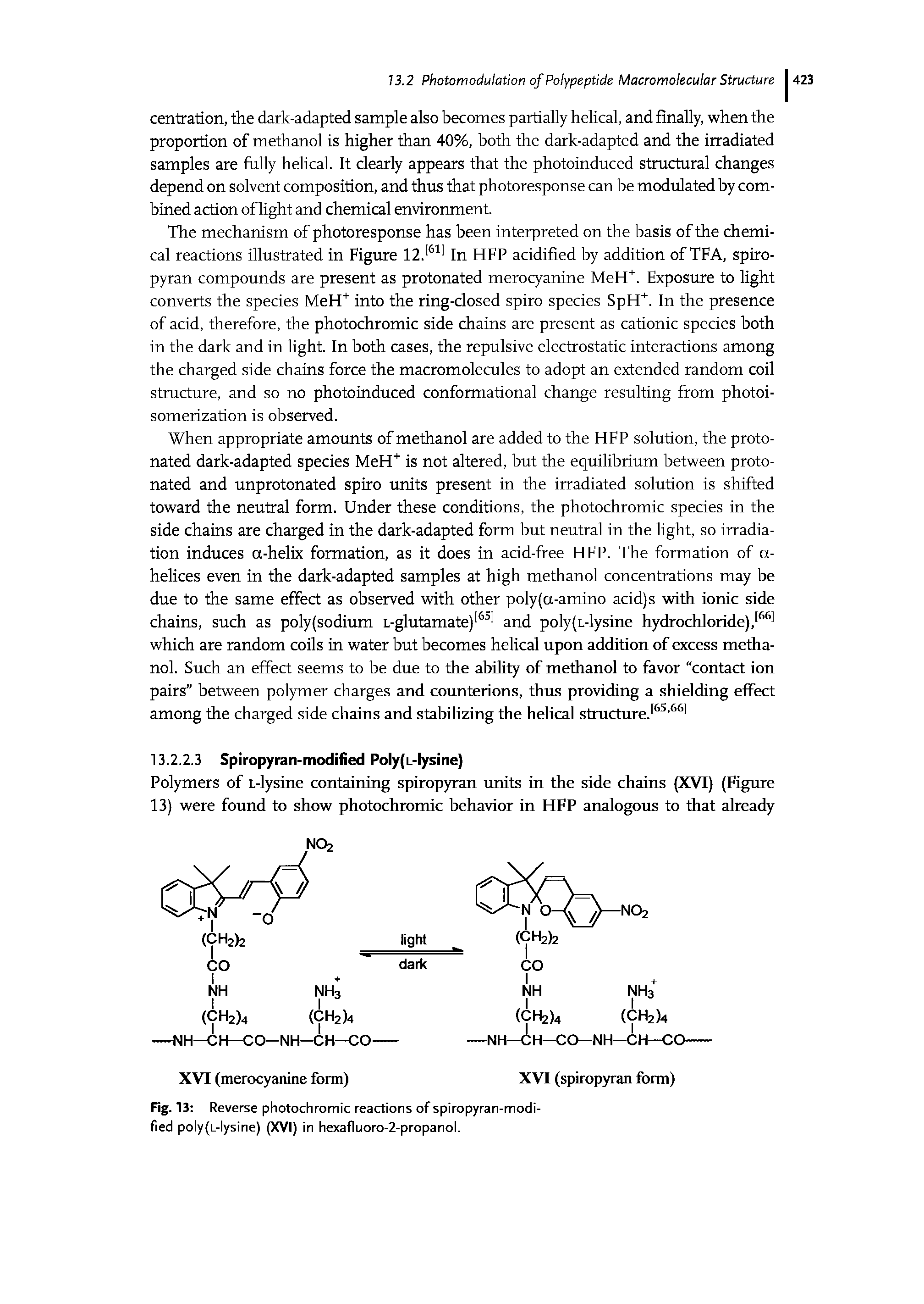 Fig. 13 Reverse photochromic reactions of spiropyran-modified poly(L-lysine) (XVI) in hexafluoro-2-propanol.