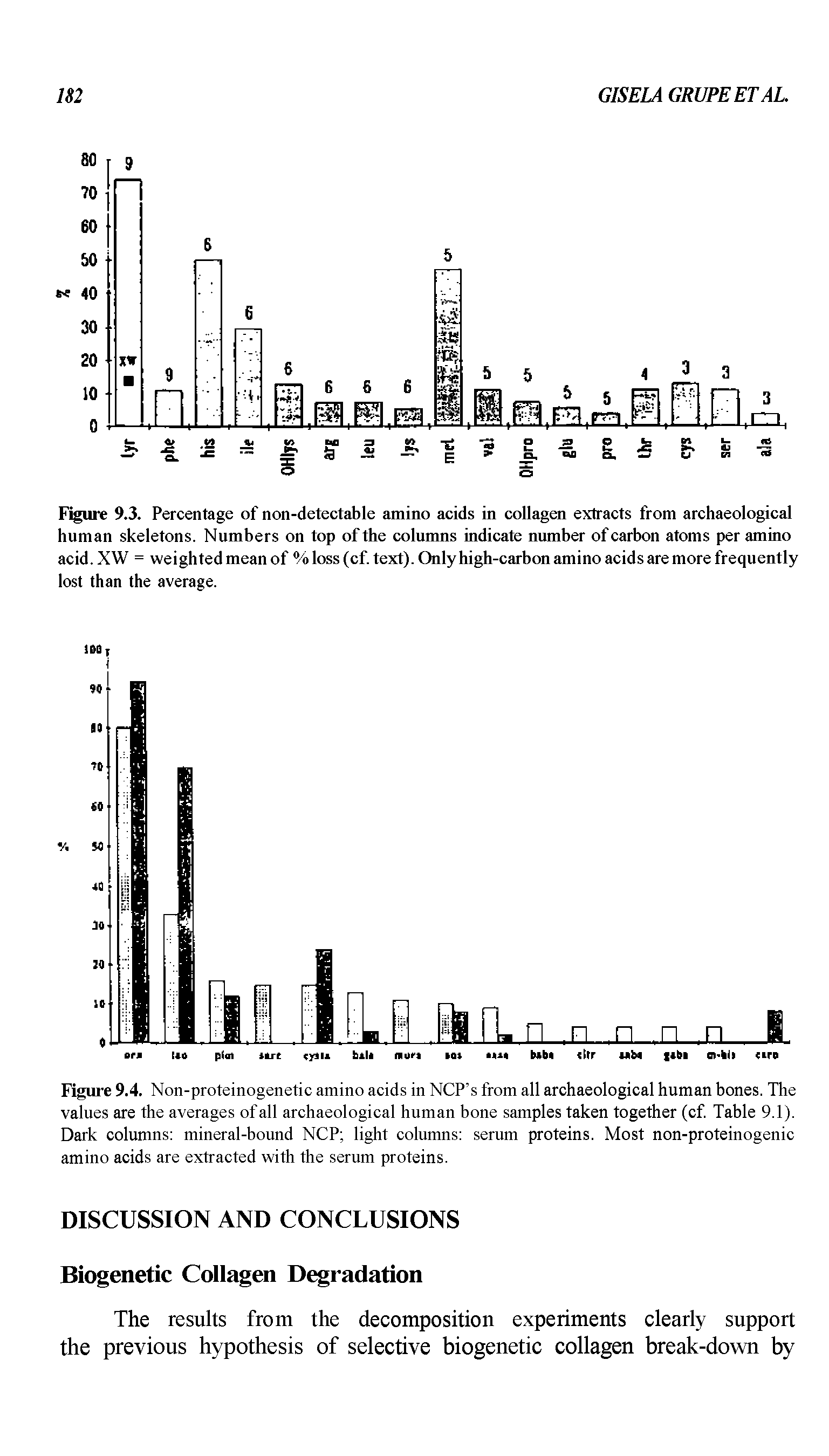 Figure 9.4. Non-proteinogenetic amino acids in NCP s from all archaeological human bones. The values are the averages of all archaeological human bone samples taken together (cf Table 9.1). Dark columns mineral-bound NCP light columns serum proteins. Most non-proteinogenic amino acids are extracted with the serum proteins.