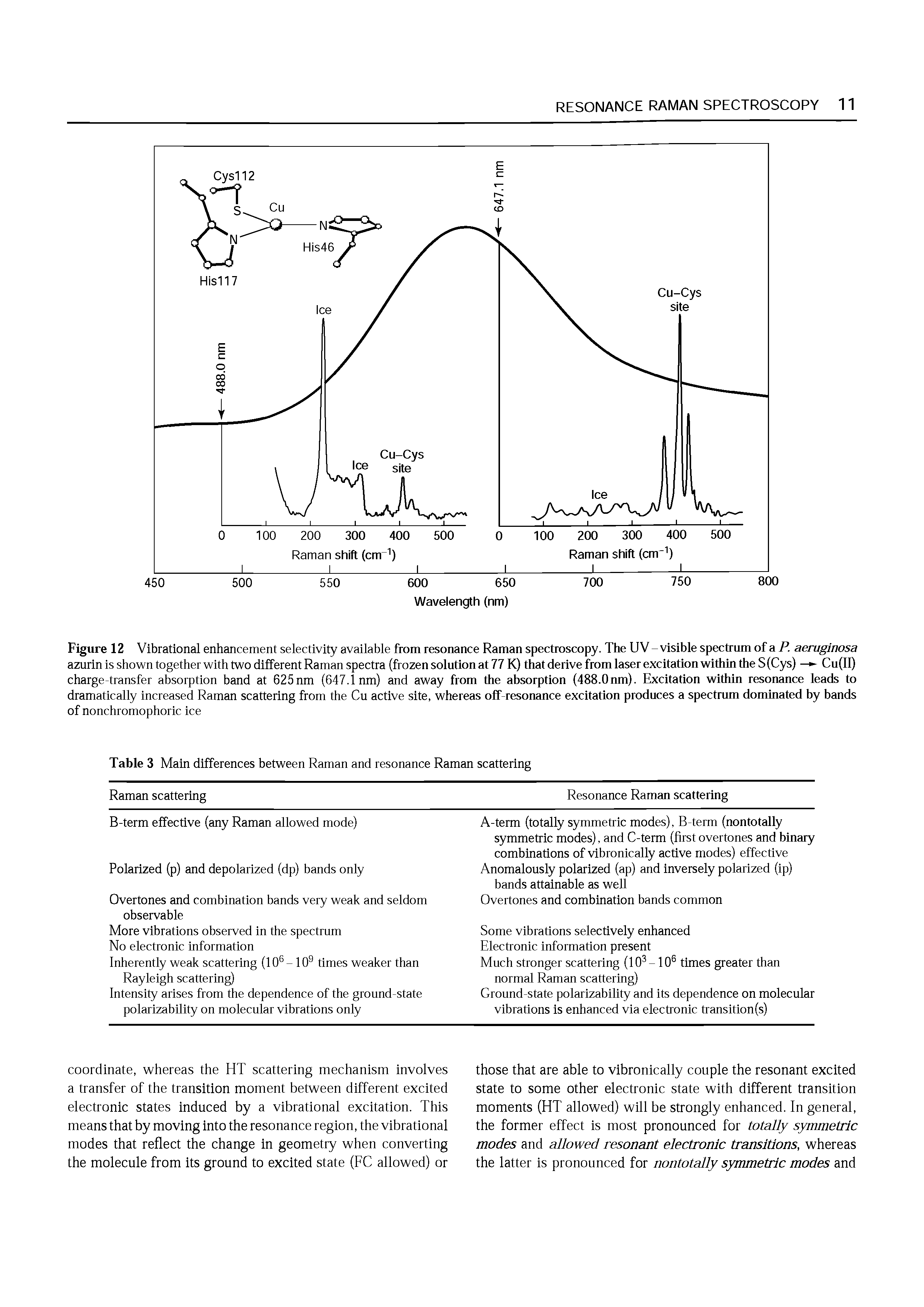 Figure 12 Vibrational enhancement selectivity available from resonance Raman spectroscopy. The UV-visible spectrum of a P. aeruginosa azurin is shown together with two different Raman spectra (frozen solution at 77 K) that derive from laser excitation within theS(Cys) — Cu(II) charge-transfer absorption band at 625nm (647.1 nm) and away from the absorption (488.Onm). Excitation within resonance leads to dramatically increased Raman scattering from the Cu active site, whereas off-resonance excitation produces a spectrum dominated by bands...