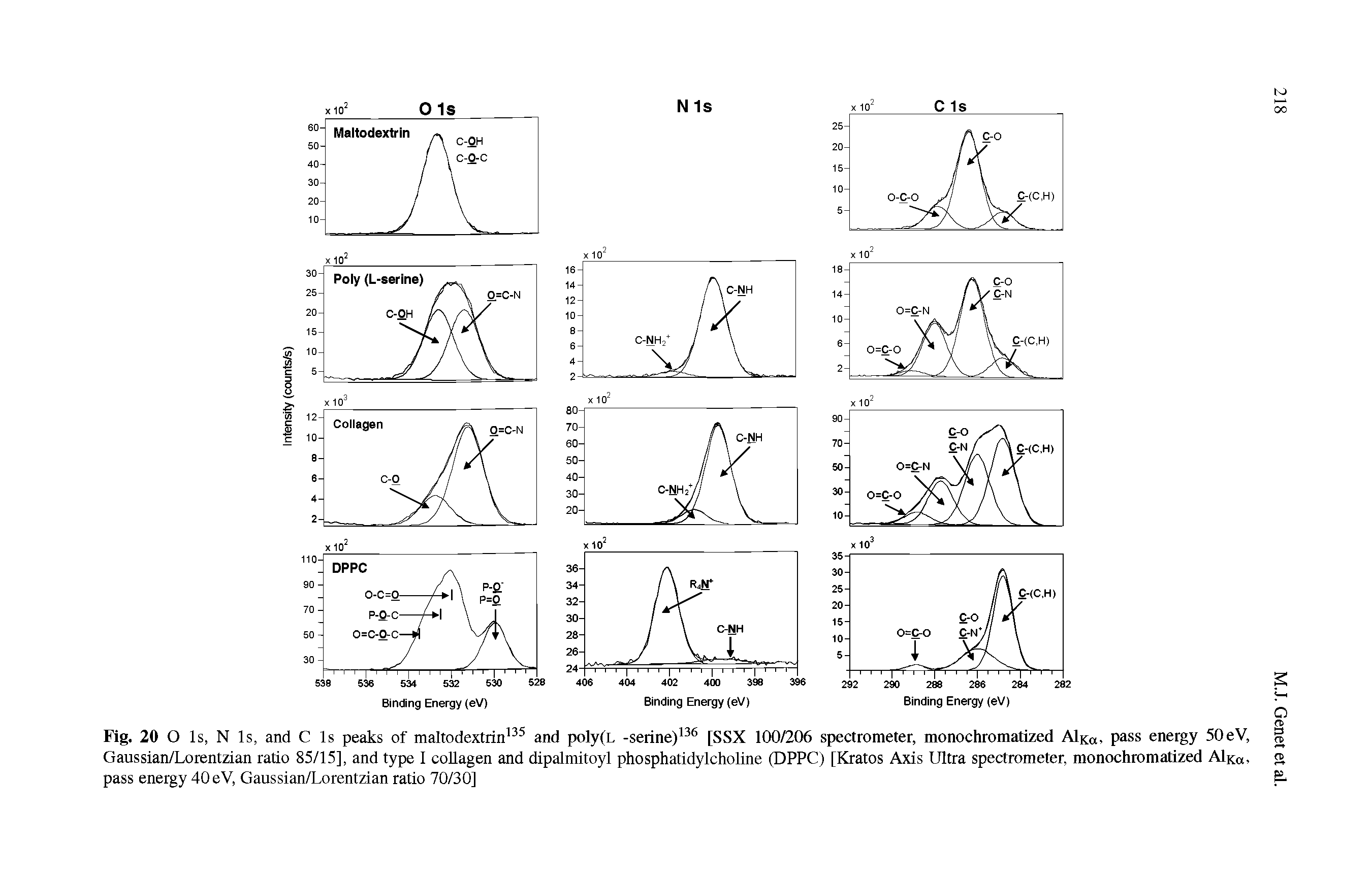 Fig. 20 O Is, N Is, and C Is peaks of maltodextrin and poly(L -serine) [SSX 100/206 spectrometer, monochromatized AIko, pass energy 50eV, Gaussian/Lorentzian ratio 85/15], and type I collagen and dipalmitoyl phosphatidylcholine (DPPC) [Kratos Axis Ultra spectrometer, monochromatized AIro, pass energy 40 eV, Gaussian/Lorentzian ratio 70/30]...