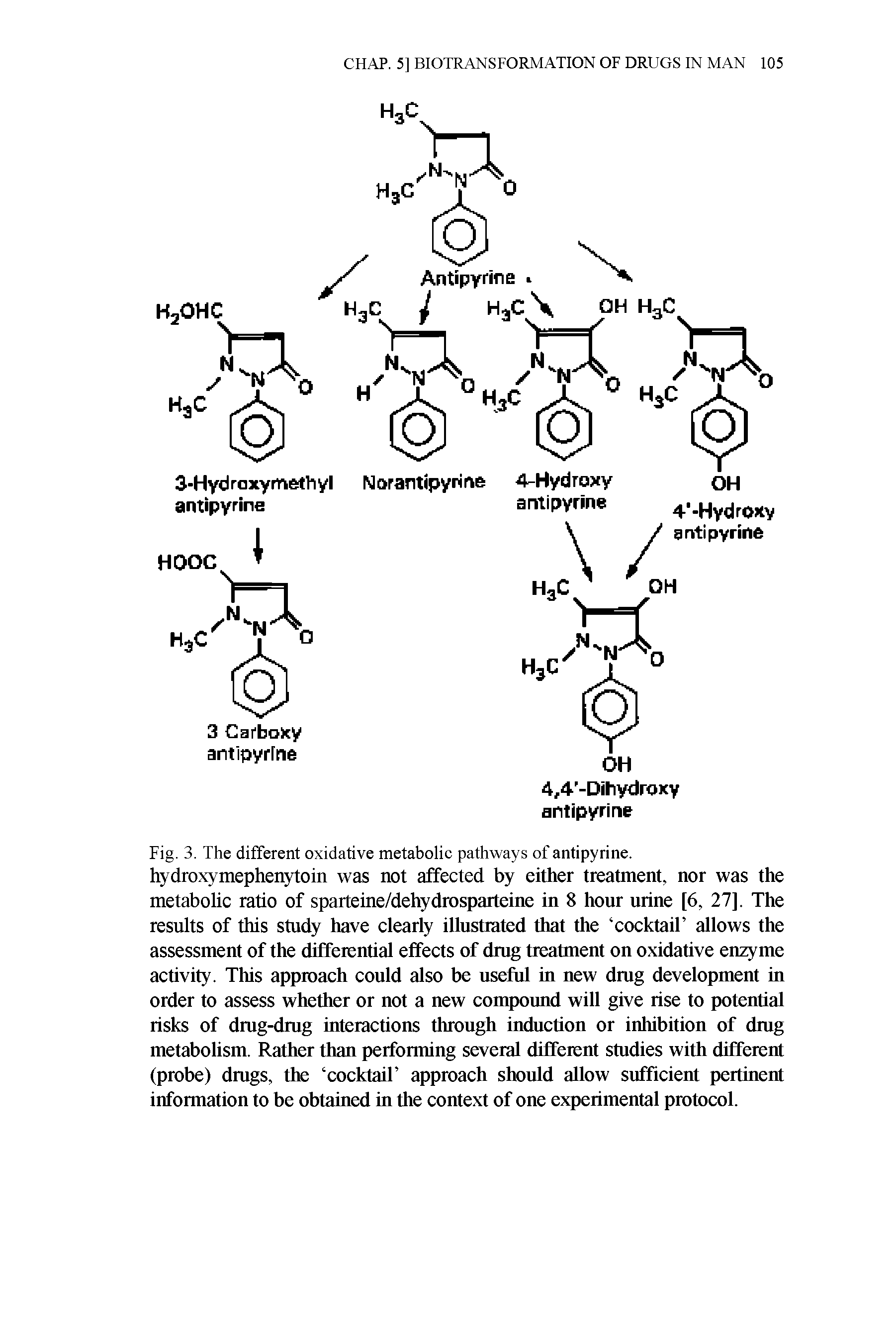 Fig. 3. The difTerent oxidative metabolic pathways of antipyrine. hydroxymephenytoin was not affected by either treatment, nor was the metabohc ratio of sparteine/dehydrosparteine in 8 hour urine [6, 27], The results of this study have clearly illustrated that the cocktail allows the assessment of the differential effects of dmg treatment on oxidative enzyme activity. This approach could also be usefiil in new dmg development in order to assess whether or not a new compoimd will give rise to potential risks of dmg-drag interactions through induction or inhibition of dmg metabolism. Rather than performing several different studies with different (probe) dmgs, the cocktail approach should allow sufficient pertinent information to be obtained in the context of one experimental protocol.