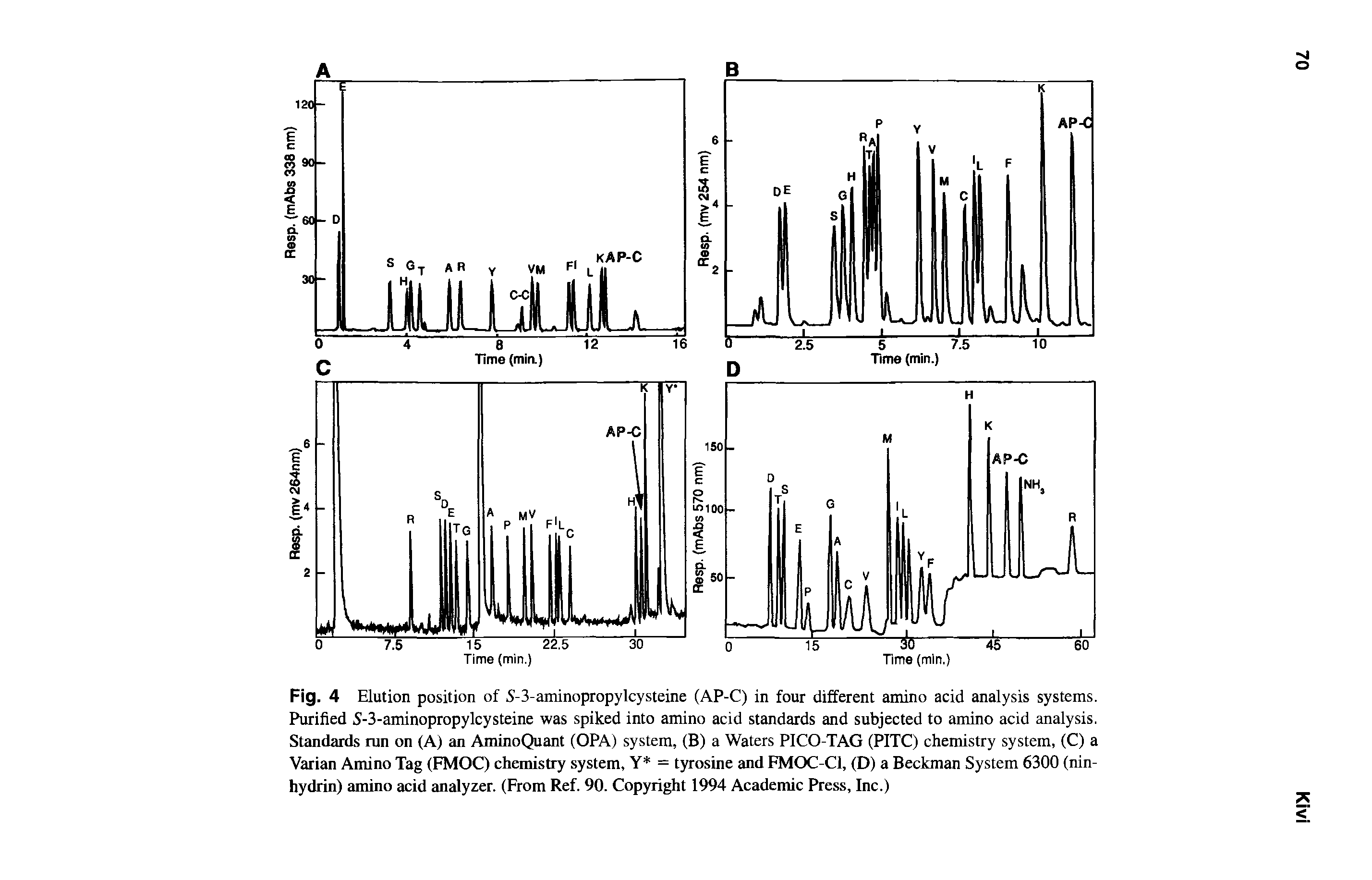 Fig. 4 Elution position of S-3-aminopropylcysteine (AP-C) in four different amino acid analysis systems. Purified 5-3-aminopropylcysteine was spiked into amino acid standards and subjected to amino acid analysis. Standards run on (A) an AminoQuant (OPA) system, (B) a Waters PICO-TAG (PITC) chemistry system, (C) a Varian Amino Tag (FMOC) chemistry system, Y = tyrosine and FMOC-Cl, (D) a Beckman System 6300 (nin-hydrin) amino acid analyzer. (From Ref. 90. Copyright 1994 Academic Press, Inc.)...