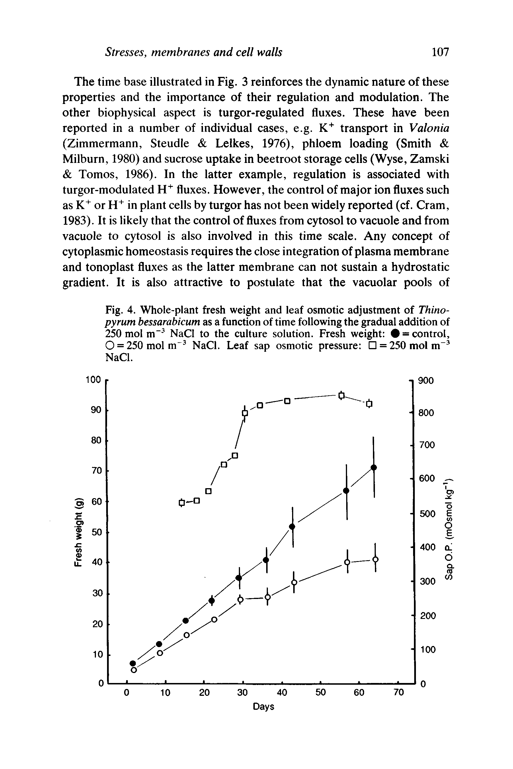 Fig. 4. Whole-plant fresh weight and leaf osmotic adjustment of Thino-pyrum bessarabicum as a function of time following the gradual addition of 250 mol m NaCl to the culture solution. Fresh weight = control, O = 250 mol m NaCl. Leaf sap osmotic pressure = 250molm NaCl.