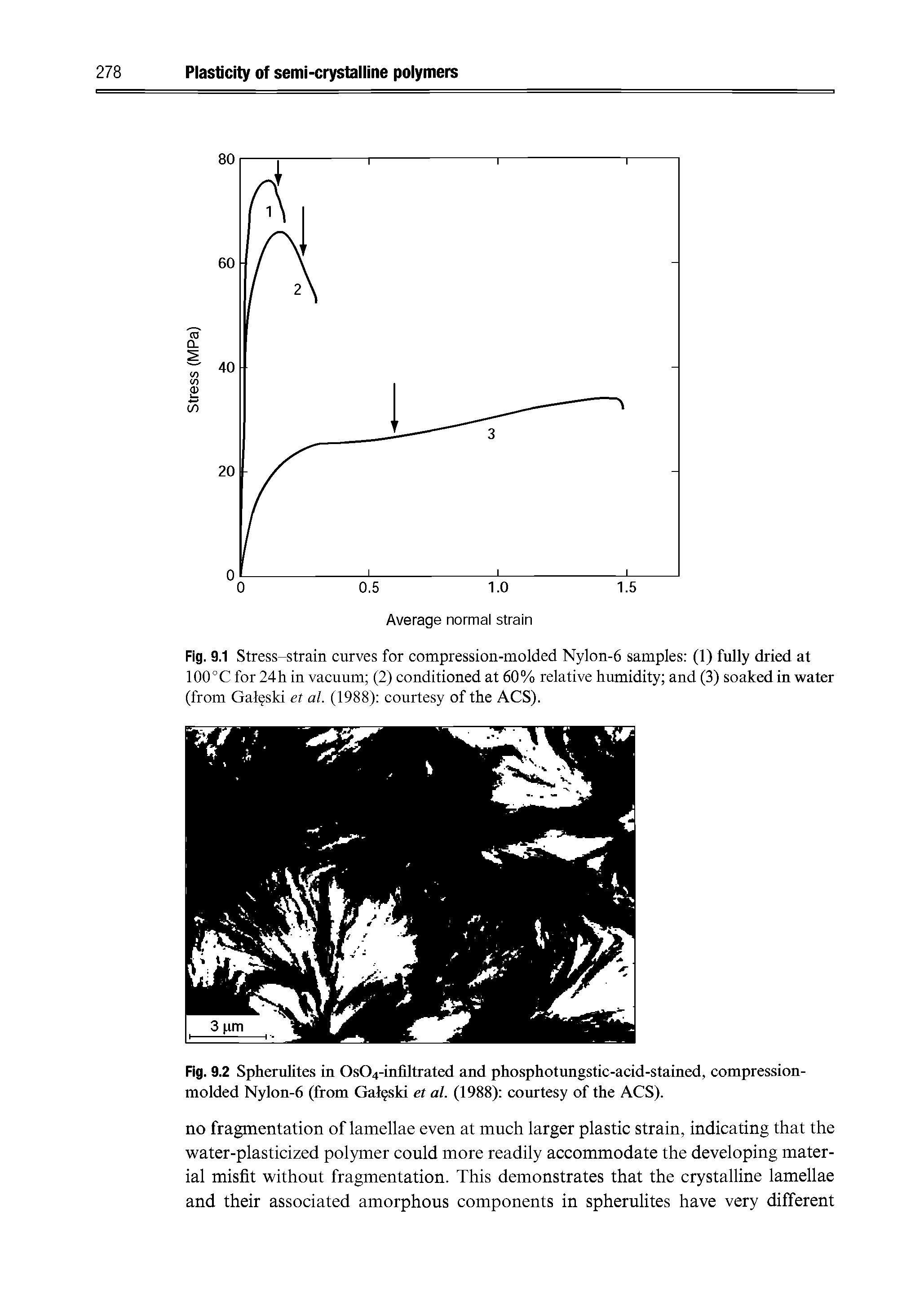 Fig. 9.1 Stress-strain curves for compression-molded Nylon-6 samples (1) fully dried at 100°C for 24 h in vacuum (2) conditioned at 60% relative humidity and (3) soaked in water (from Gal ski et al. (1988) courtesy of the ACS).