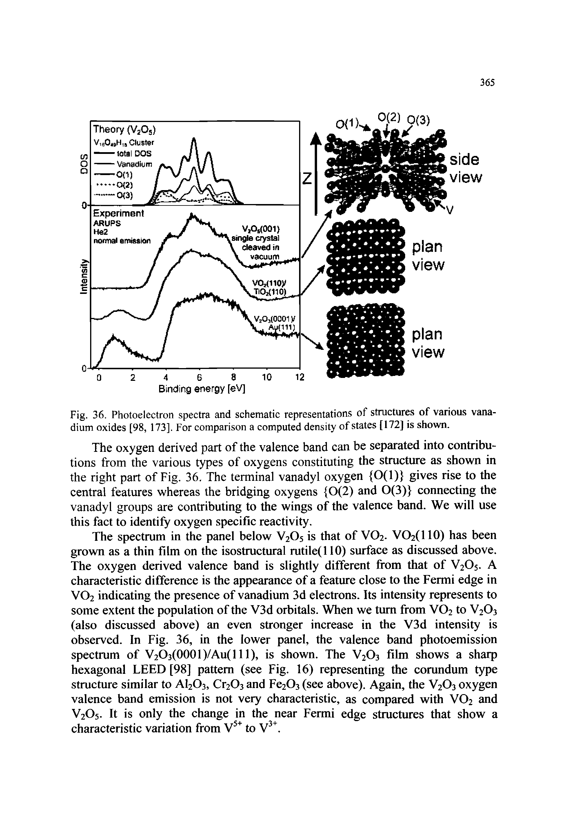 Fig. 36. Photoelectron spectra and schematic representations of structures of various vanadium oxides [98, 173]. For comparison a computed density of states [172] is shown.