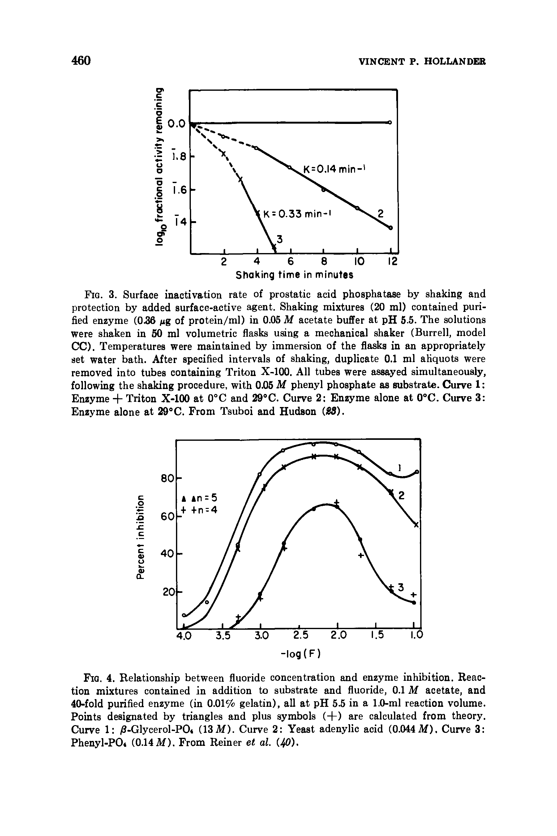 Fig. 4. Relationship between fluoride concentration and enzyme inhibition. Reaction mixtures contained in addition to substrate and fluoride, 0.1 M acetate, and 40-fold purified enzyme (in 0.01% gelatin), all at pH 5.5 in a 1.0-ml reaction volume. Points designated by triangles and plus symbols (+) are calculated from theory. Curve 1 /3-Glycerol-PO (13M). Curve 2 Yeast adenylic acid (0.044M). Curve 3 Phenyl-PO (0.14 M). From Reiner et al. (40).