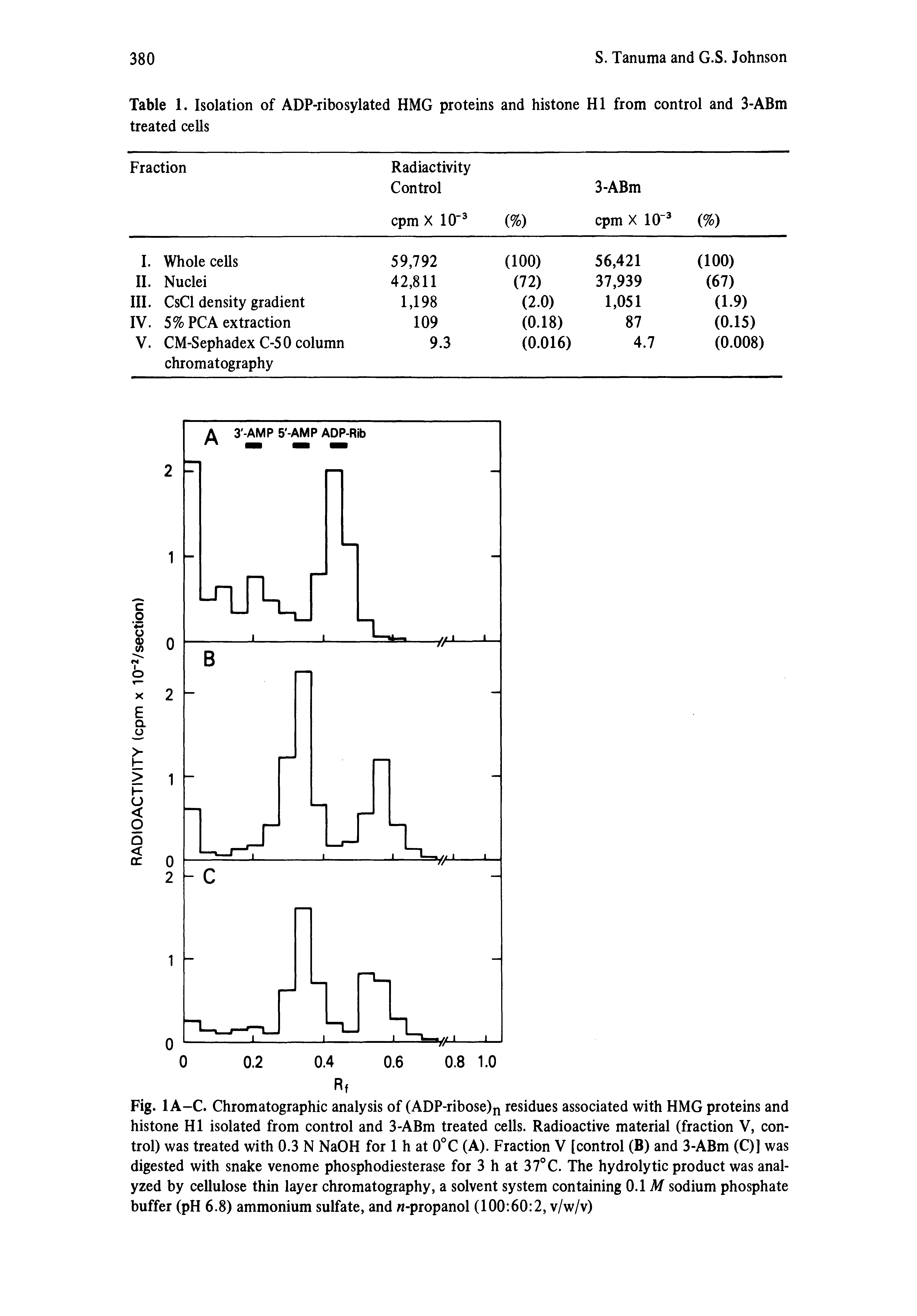 Fig. 1A-C. Chromatographic analysis of (ADP-ribose)n residues associated with HMG proteins and histone HI isolated from control and 3-ABm treated cells. Radioactive material (fraction V, control) was treated with 0.3 N NaOH for 1 h at 0°C (A). Fraction V [control (B) and 3-ABm (C)] was digested with snake venome phosphodiesterase for 3 h at 37°C. The hydrolytic product was analyzed by cellulose thin layer chromatography, a solvent system containing 0.1 A/ sodium phosphate buffer (pH 6.8) ammonium sulfate, and -propanol (100 60 2, v/w/v)...