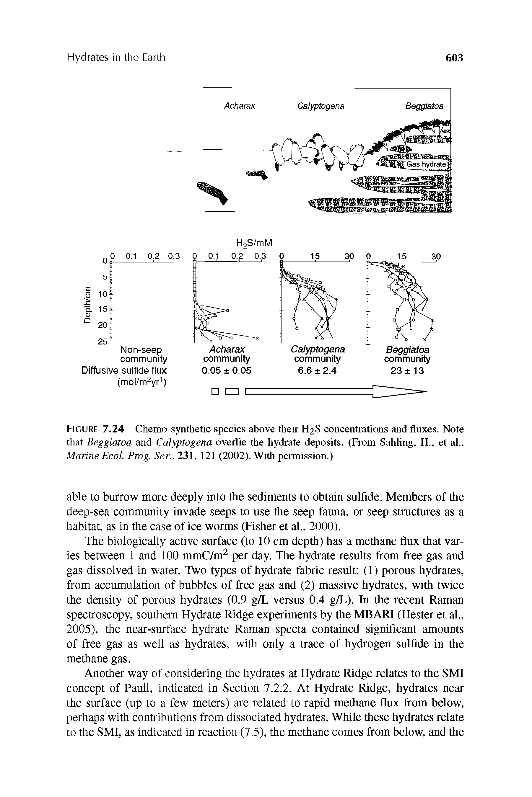 Figure 7.24 Chemo-synthetic species above their H2S concentrations and fluxes. Note that Beggiatoa and Calyptogena overlie the hydrate deposits. (From Sahling, H., et al., Marine Ecol. Prog. Ser., 231, 121 (2002). With permission.)...