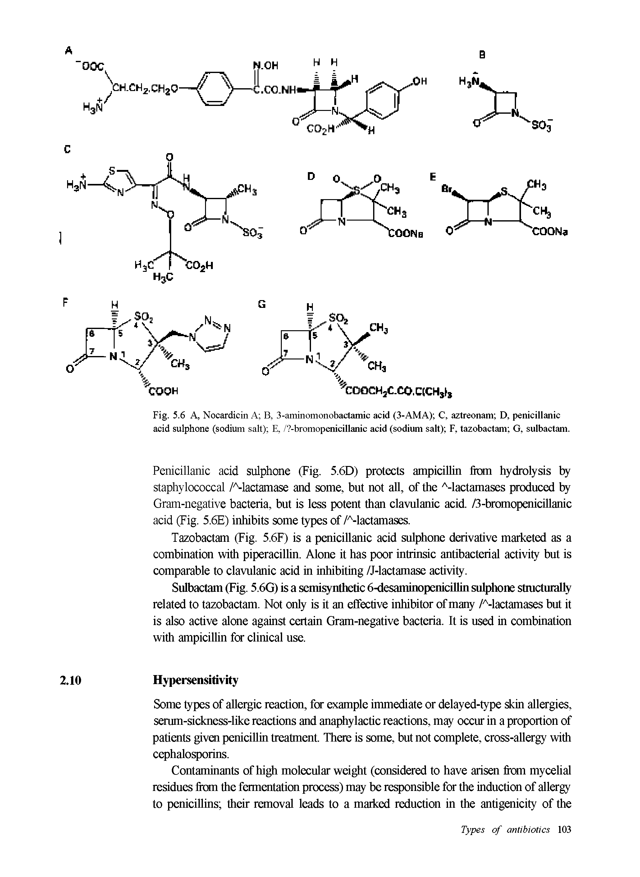Fig. 5.6 A, Nocardicin A B, 3-aminomonobactamic acid (3-AMA) C, aztreonam D, penicillanic acid sulphone (sodium salt) E, / -bromopenicillamc acid (sodium salt) F, tazobactam G, sulbactam.