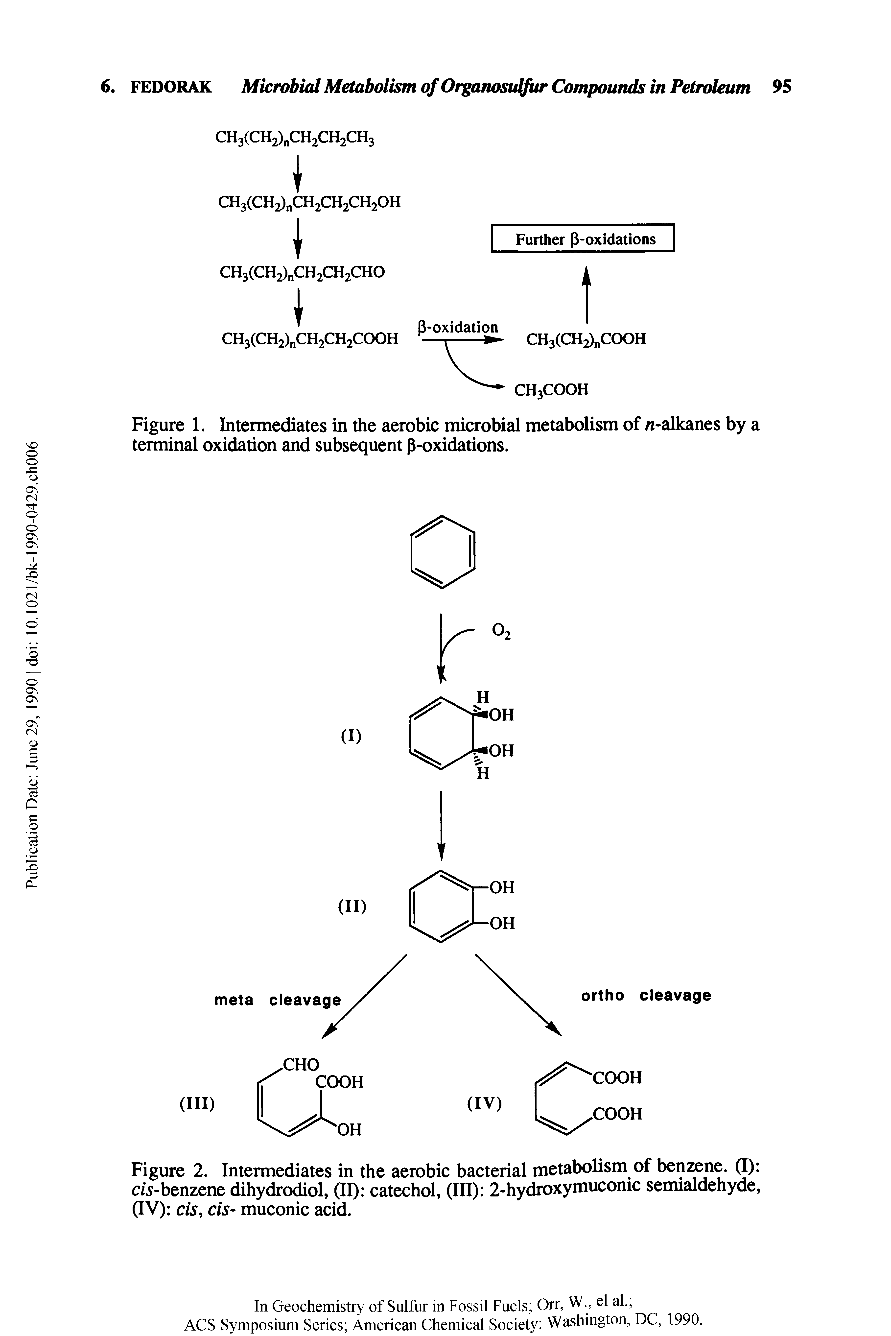 Figure 2. Intermediates in the aerobic bacterial metabolism of benzene. (I) c/s-benzene dihydrodiol, (II) catechol, (III) 2-hydroxymuconic semialdehyde, (IV) cis, cis- muconic acid.