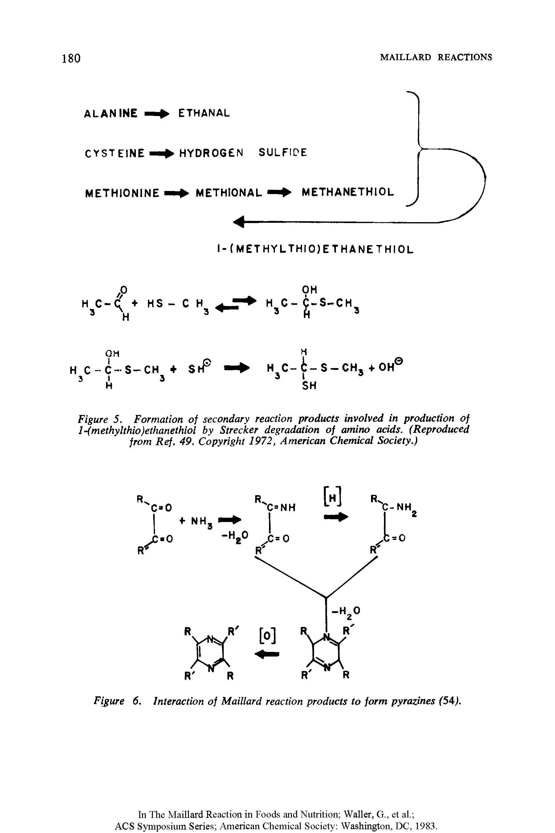 Figure 6. Interaction of Maillard reaction products to form pyrazines (54).