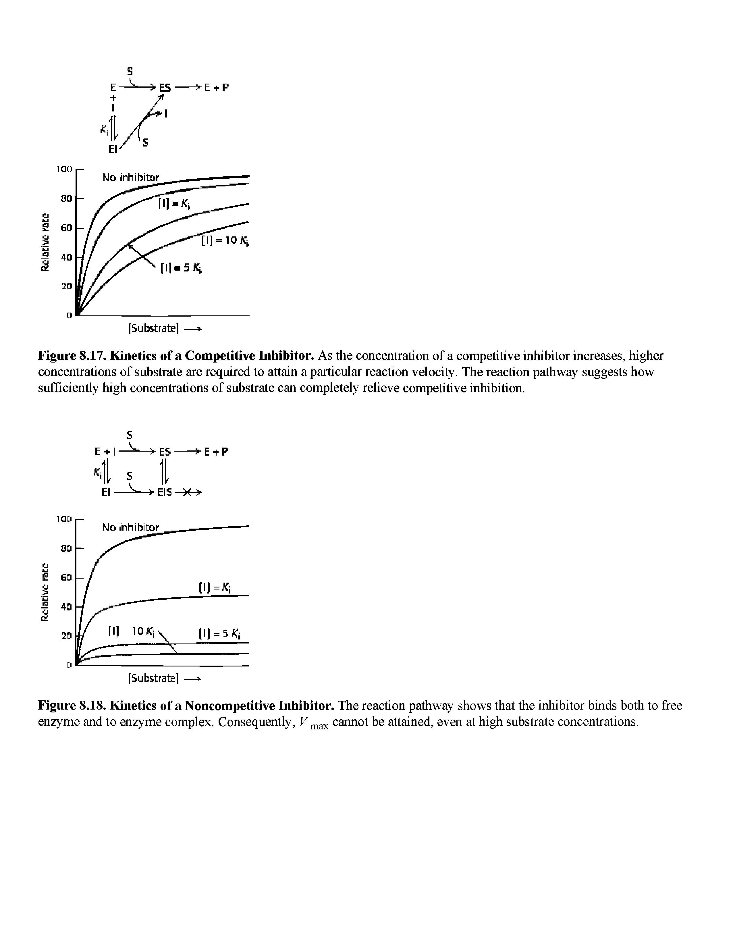Figure 8.18. Kinetics of a Noncompetitive Inhibitor. The reaction pathway shows that the inhibitor binds both to free enzyme and to enzyme complex. Consequently, cannot be attained, even at high substrate concentrations.