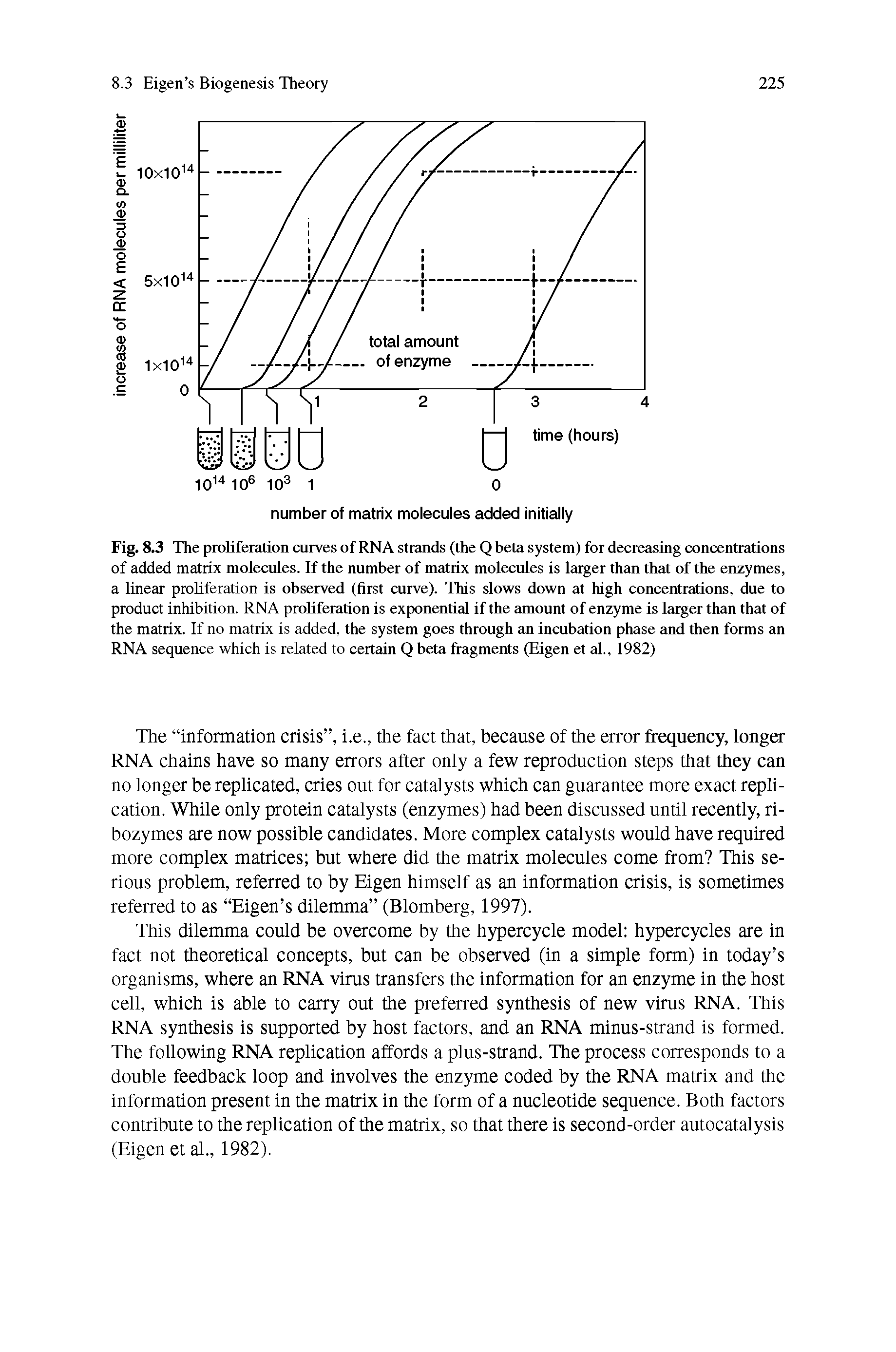 Fig. 8.3 The proliferation curves of RNA strands (the Q beta system) for decreasing concentrations of added matrix molecules. If the number of matrix molecules is larger than that of the enzymes, a linear proliferation is observed (first curve). This slows down at high concentrations, due to product inhibition. RNA proliferation is exponential if the amount of enzyme is larger than that of the matrix. If no matrix is added, the system goes through an incubation phase and then forms an RNA sequence which is related to certain Q beta fragments (Eigen et al., 1982)...