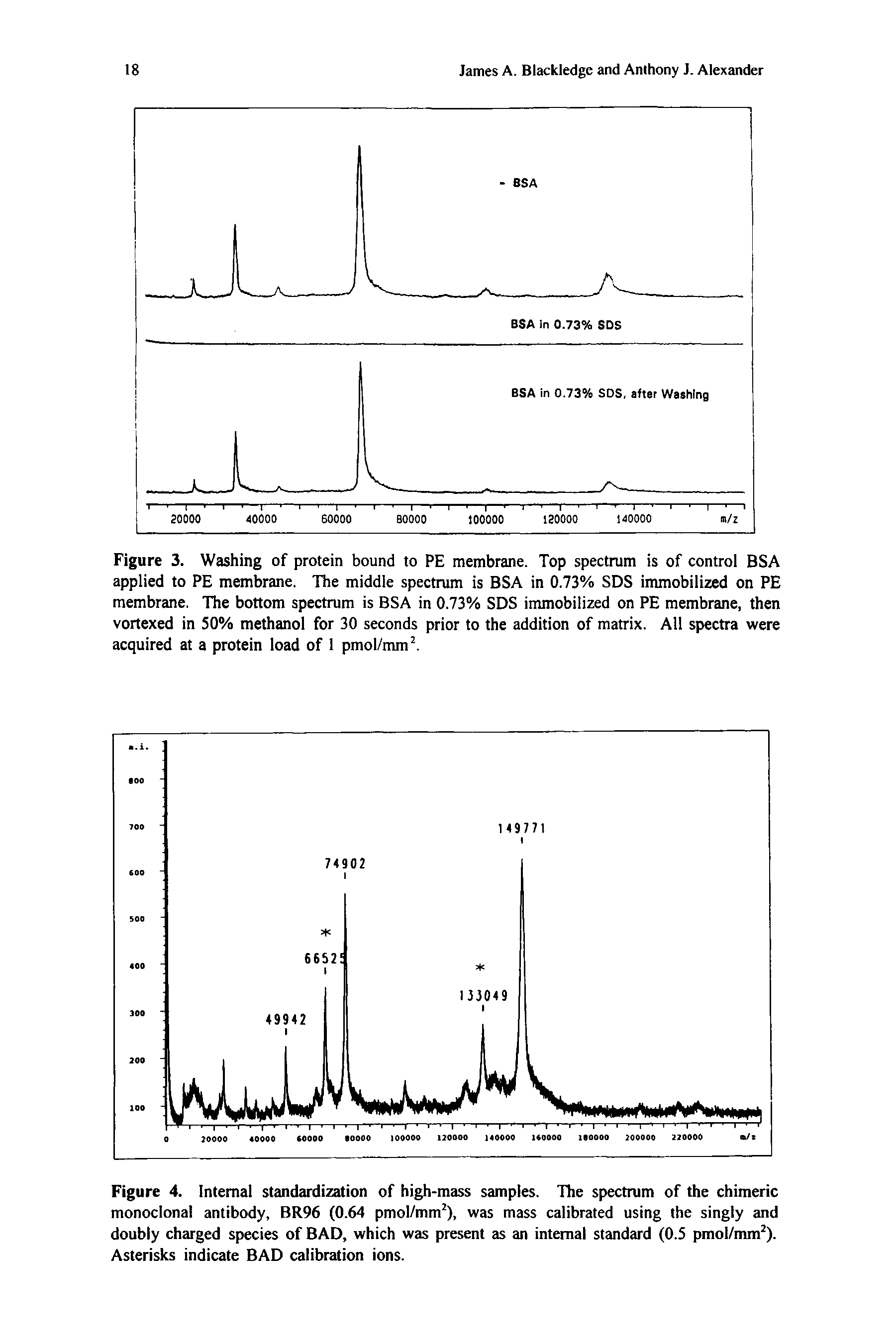 Figure 4. Internal standardization of high-mass samples. The spectrum of the chimeric monoclonal antibody, BR96 (0.64 pmol/mm ), was mass calibrated using the singly and doubly charged species of BAD, which was present as an internal standard (0.5 pmol/mm ). Asterisks indicate BAD calibration ions.