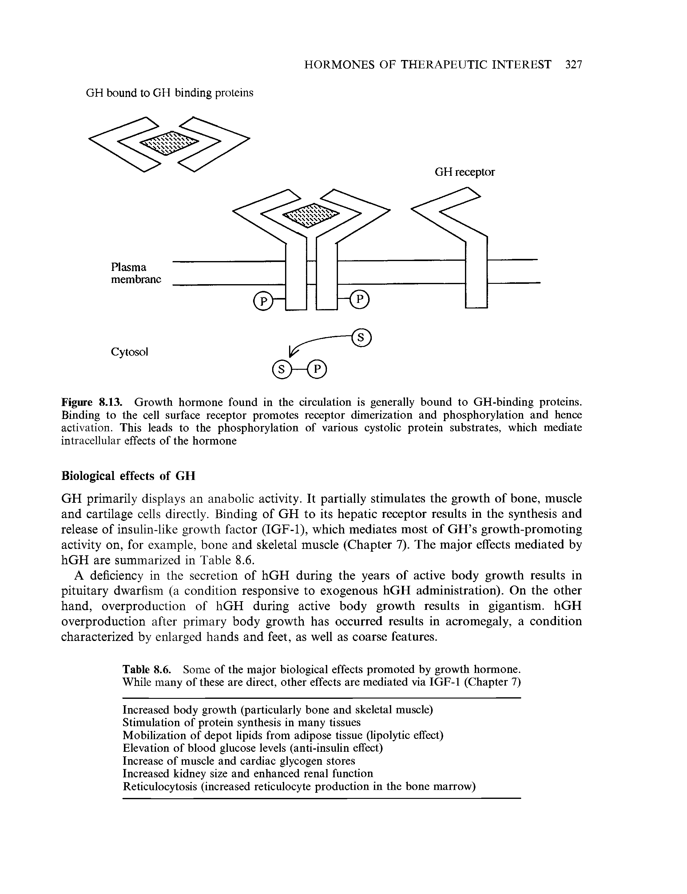 Figure 8.13. Growth hormone found in the circulation is generally bound to GH-binding proteins. Binding to the cell surface receptor promotes receptor dimerization and phosphorylation and hence activation. This leads to the phosphorylation of various cystolic protein substrates, which mediate intracellular effects of the hormone...