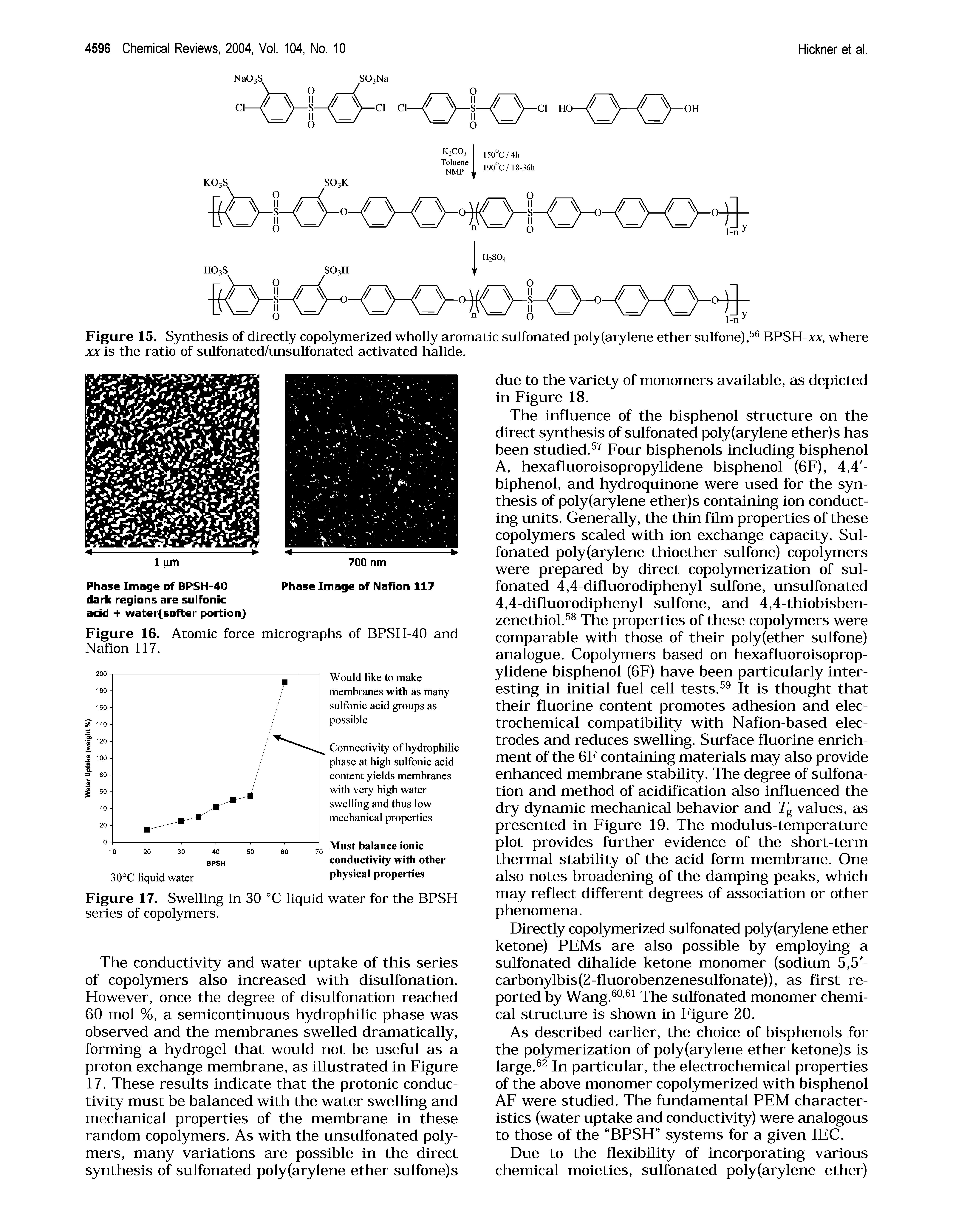 Figure 16. Atomic force micrographs of BPSH-40 and Nafion 117.
