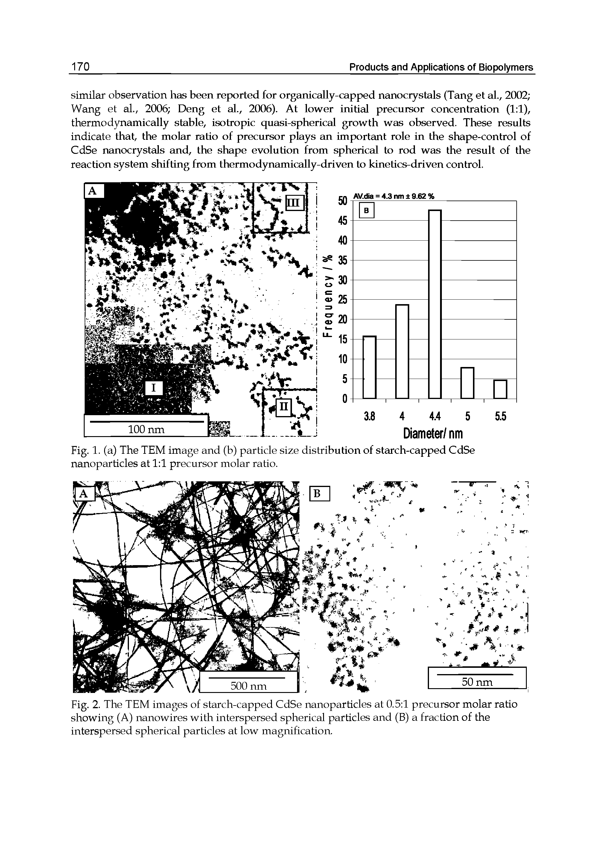 Fig. 2. The TEM images of starch-capped CdSe nanoparticles at 0.5 1 precursor molar ratio showing (A) nanowires with interspersed spherical particles and (B) a fraction of the interspersed spherical particles at low magnification.