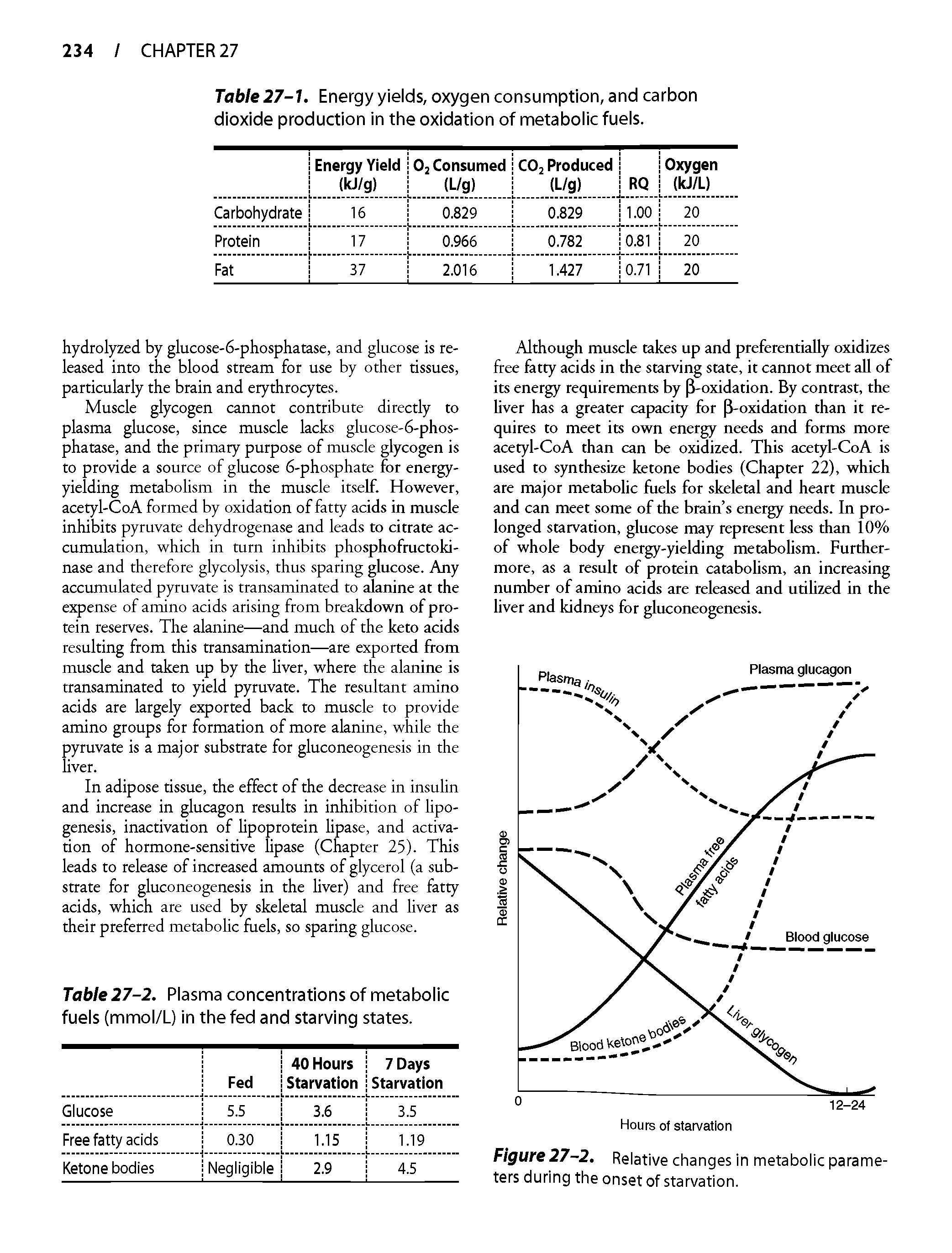 Table 27-1. Energy yields, oxygen consumption, and carbon dioxide production in the oxidation of metabolic fuels.