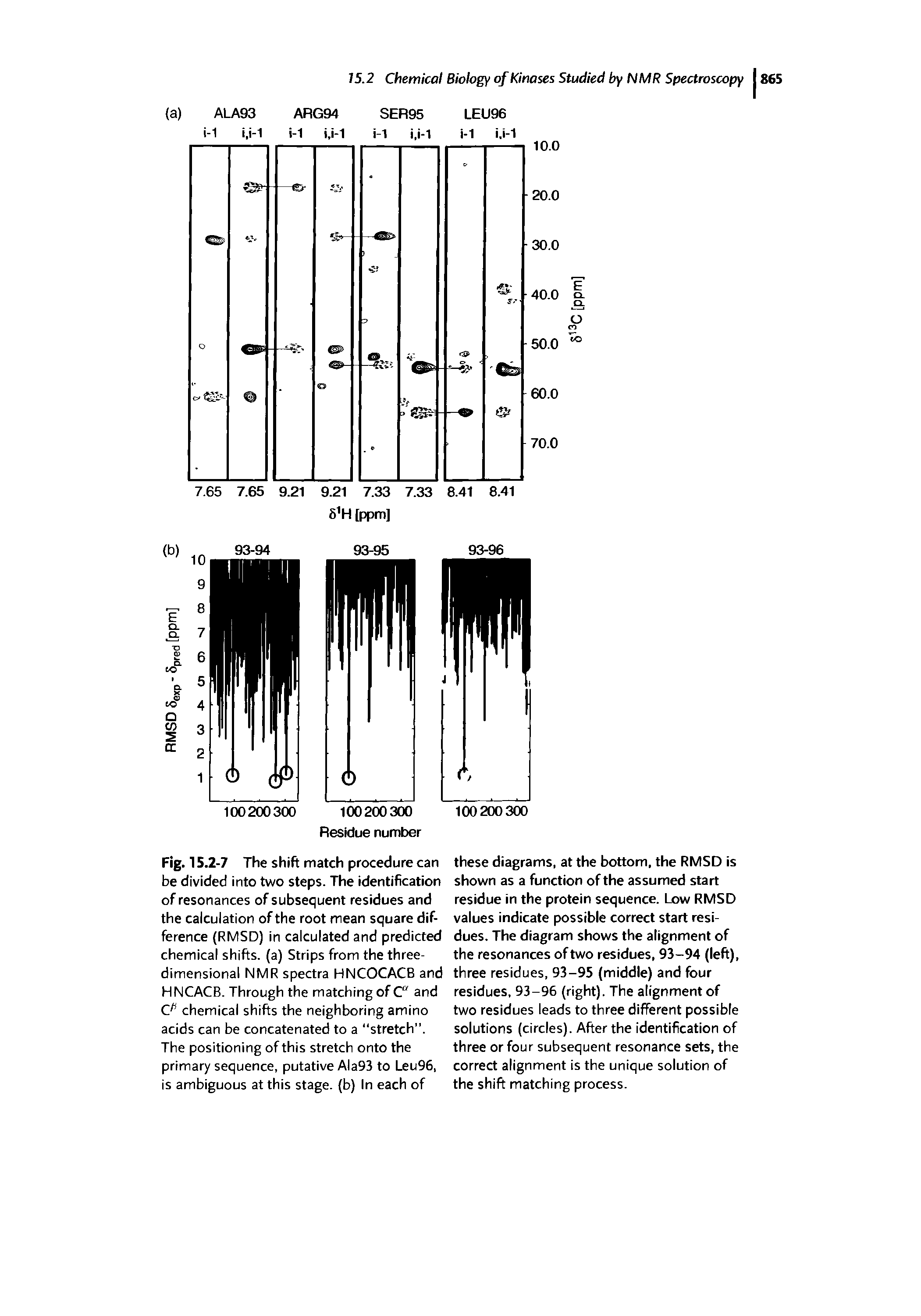 Fig. 15.2-7 The shift match procedure can be divided into two steps. The identification of resonances of subsequent residues and the calculation of the root mean square difference (RMSD) in calculated and predicted chemical shifts, (a) Strips from the three-dimensional NMR spectra HNCOCACB and HNCACB. Through the matching of C and (T chemical shifts the neighboring amino acids can be concatenated to a "stretch . The positioning of this stretch onto the primary sequence, putative Ala93 to Leu96, is ambiguous at this stage, (b) In each of...