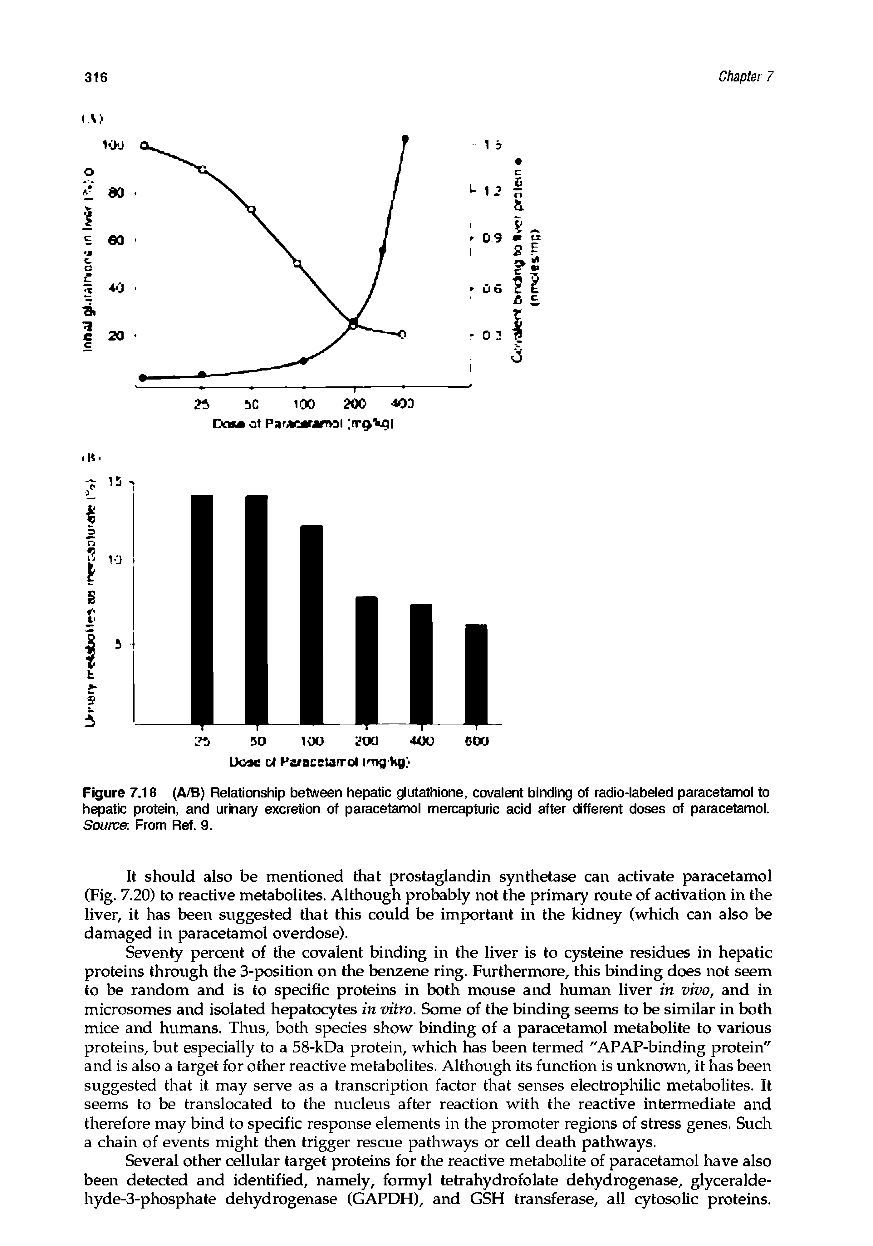 Figure 7.18 (A/B) Relationship between hepatic glutathione, covalent binding of radio-labeled paracetamol to hepatic protein, and urinary excretion of paracetamol mercapturic acid after different doses of paracetamol. Source. From Ref. 9.