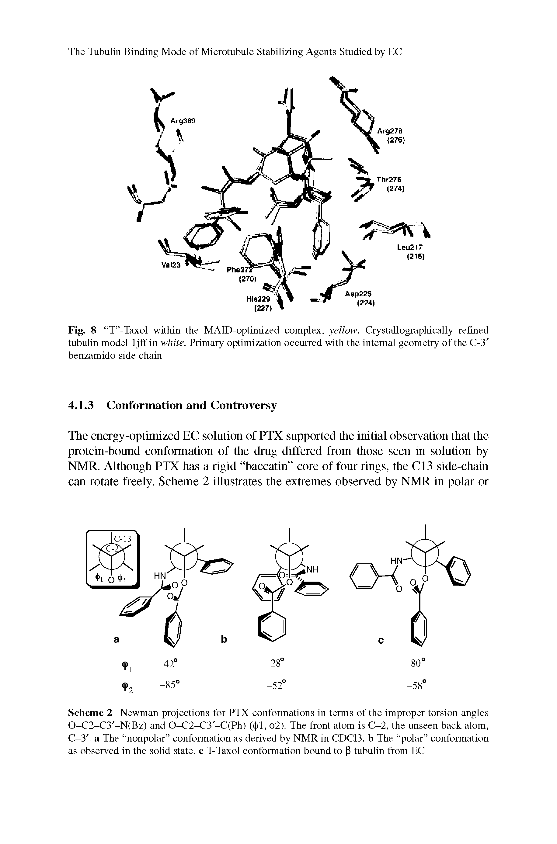 Fig. 8 T -Taxol within the MAID-optimized complex, yellow. Crystallographically refined tubulin model ljff in white. Primary optimization occurred with the internal geometry of the C-3 benzamido side chain...