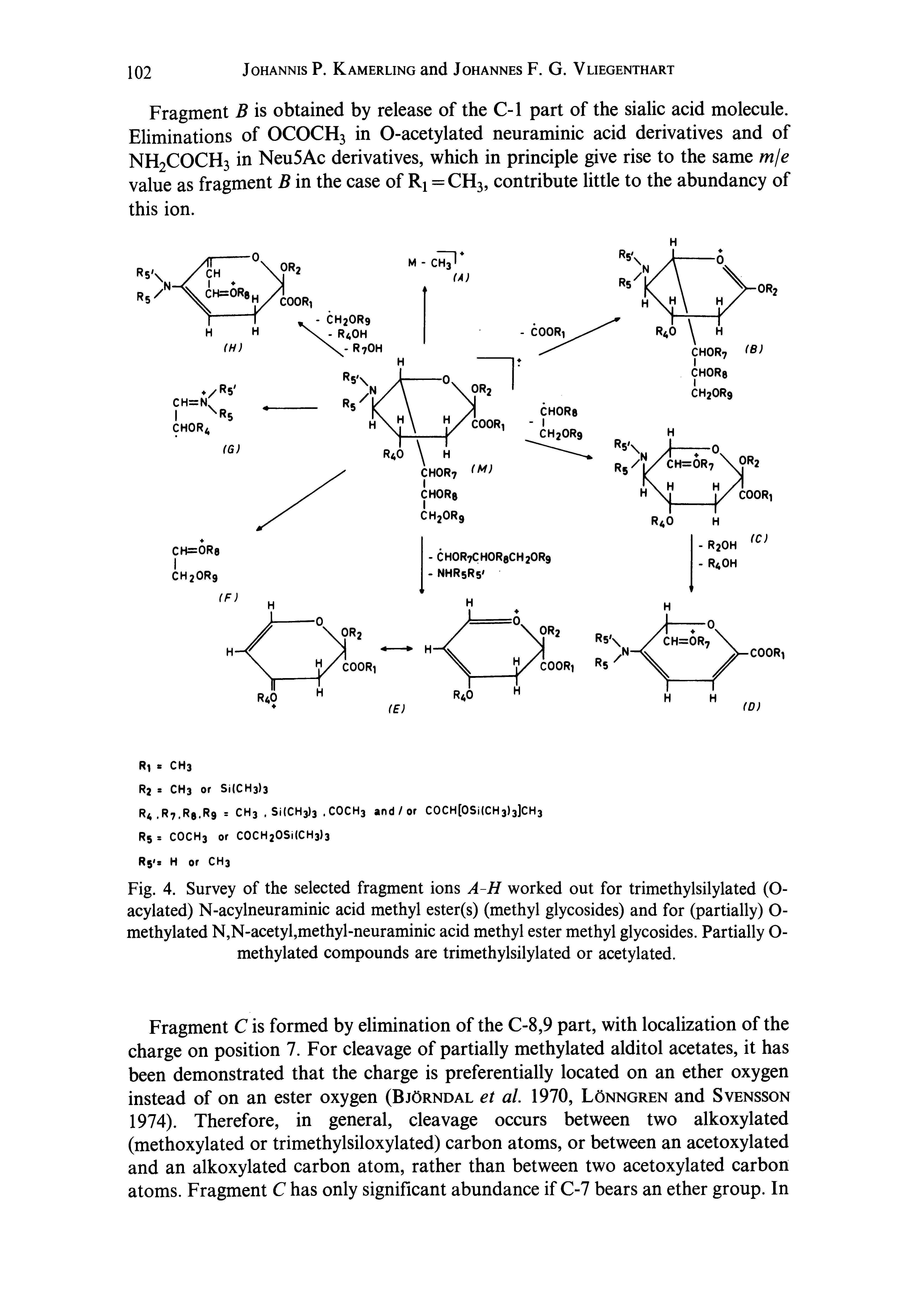 Fig. 4. Survey of the selected fragment ions A-H worked out for trimethylsilylated (O-acylated) N-acylneuraminic acid methyl ester(s) (methyl glycosides) and for (partially) O-methylated N,N>acetyl,methyl-neuraminic acid methyl ester methyl glycosides. Partially O-methylated compounds are trimethylsilylated or acetylated.