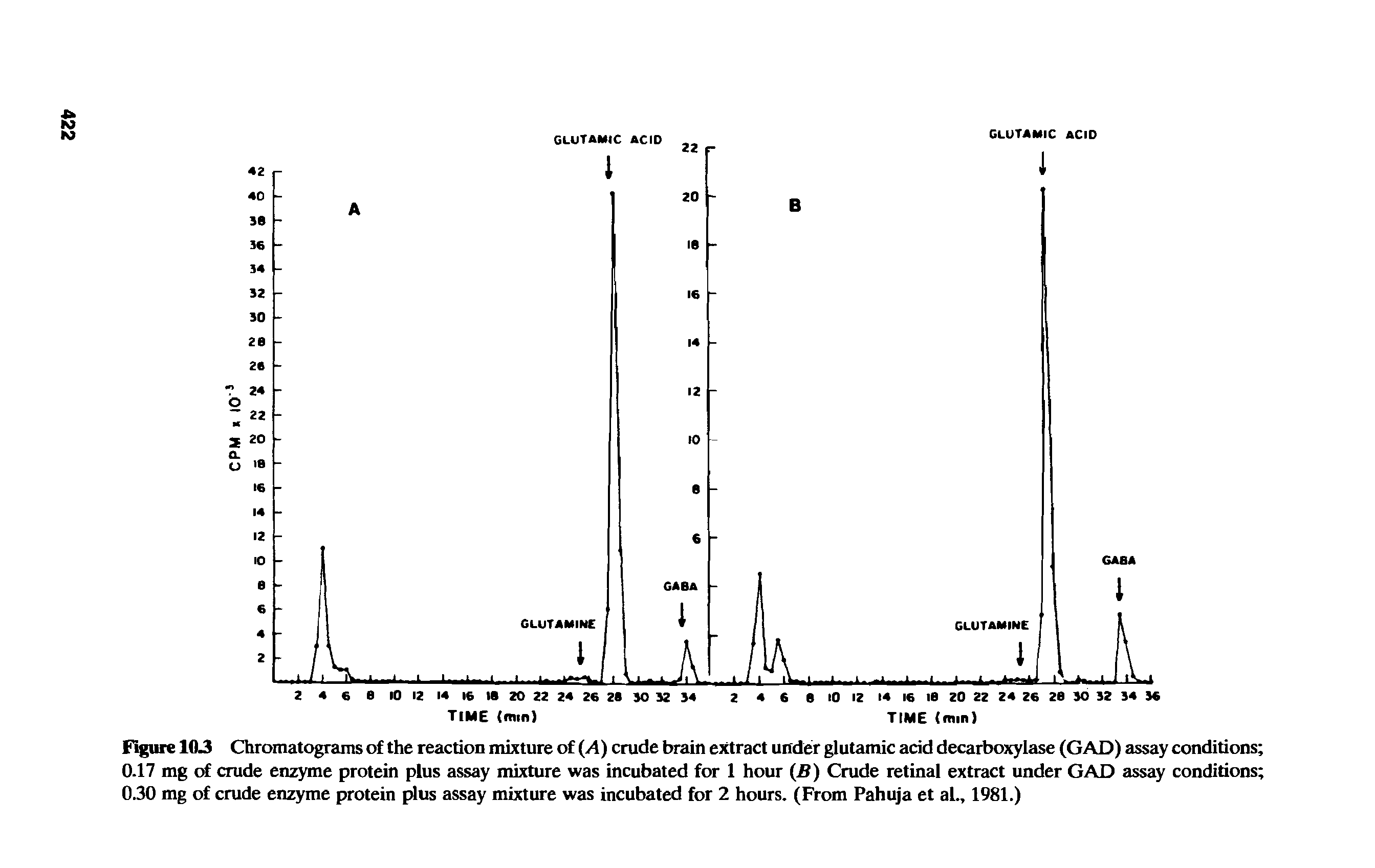 Figure 1(13 Chromatograms of the reaction mixture of (A) crude brain extract under glutamic acid decarboxylase (GAD) assay conditions 0.17 mg of crude enzyme protein plus assay mixture was incubated for 1 hour (B) Crude retinal extract under GAD assay conditions 0.30 mg of crude enzyme protein plus assay mixture was incubated for 2 hours. (From Pahuja et al., 1981.)...