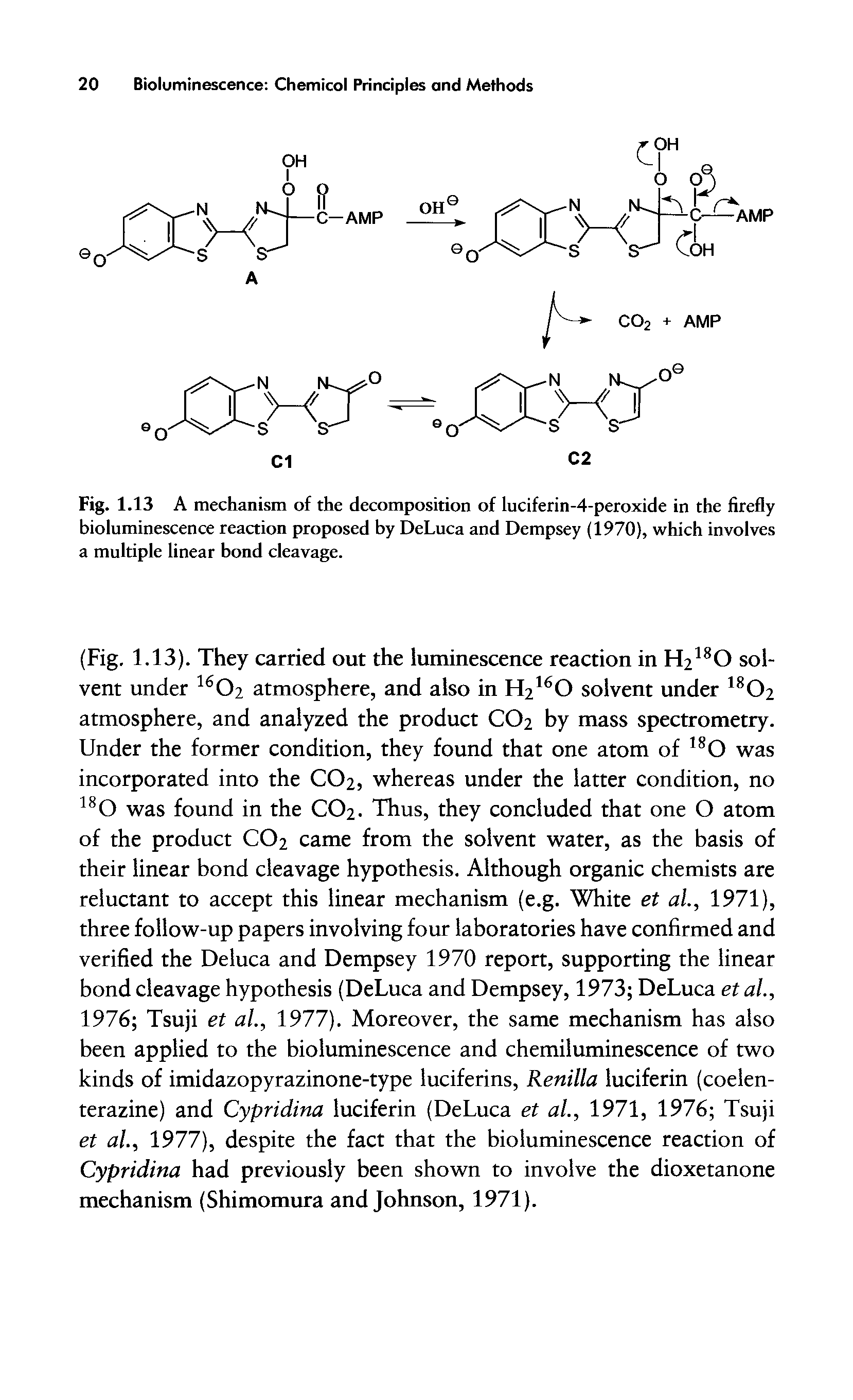 Fig. 1.13 A mechanism of the decomposition of luciferin-4-peroxide in the firefly bioluminescence reaction proposed by DeLuca and Dempsey (1970), which involves a multiple linear bond cleavage.