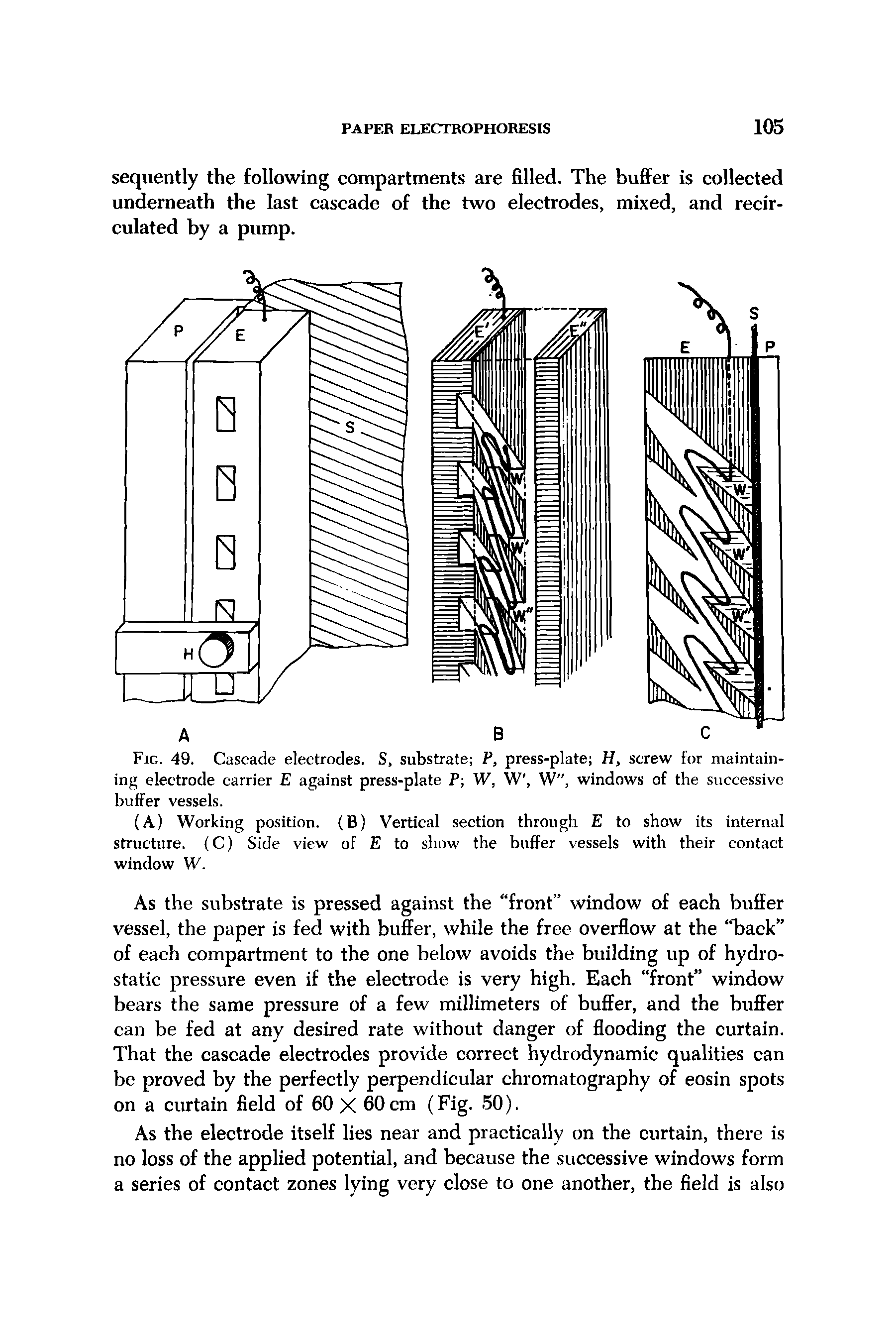 Fig. 49. Cascade electrodes. S, substrate P, press-plate H, screw for maintaining electrode carrier E against press-plate P W, W, W", windows of the successive buffer vessels.